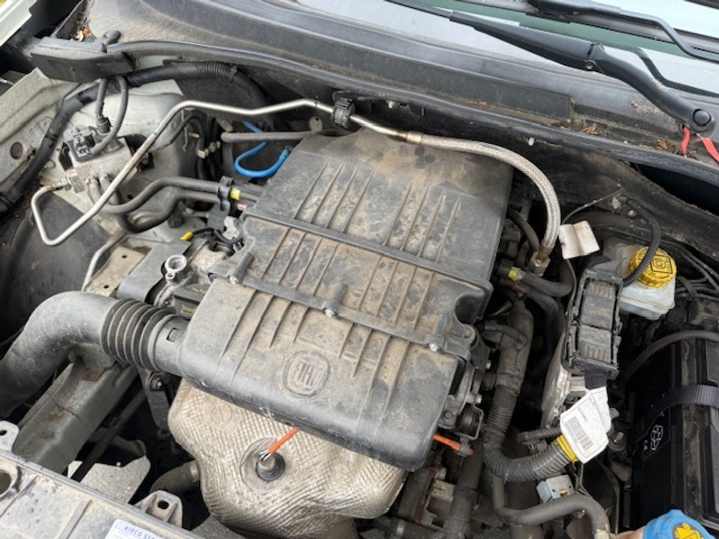 Foto van Fiat Fiat Punto