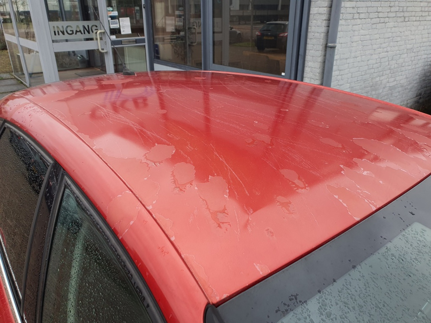 Foto van Citroen C4
