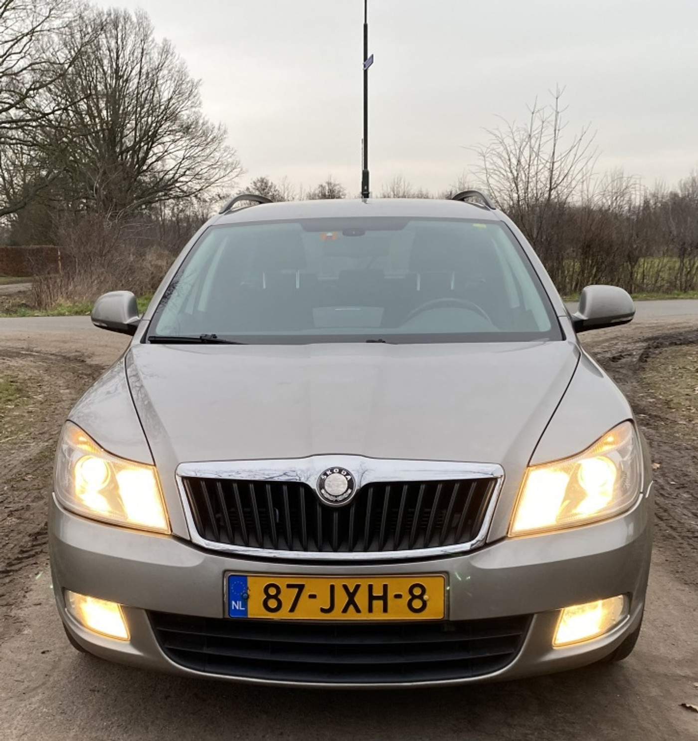 Foto van Skoda Octavia