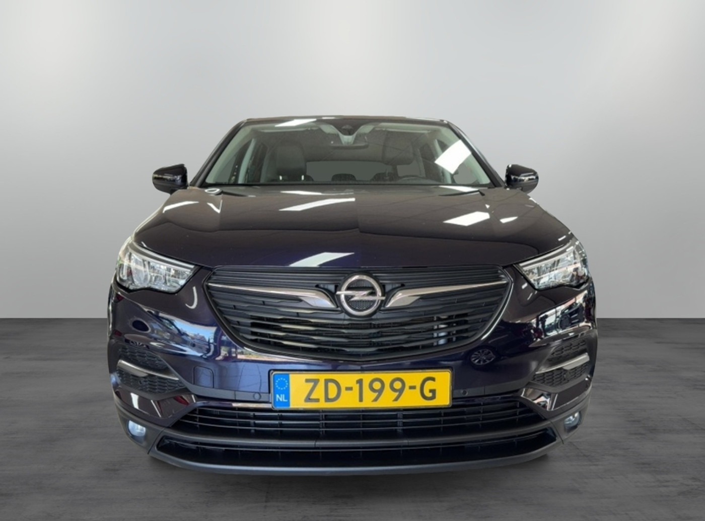 Foto van Opel Grandland X