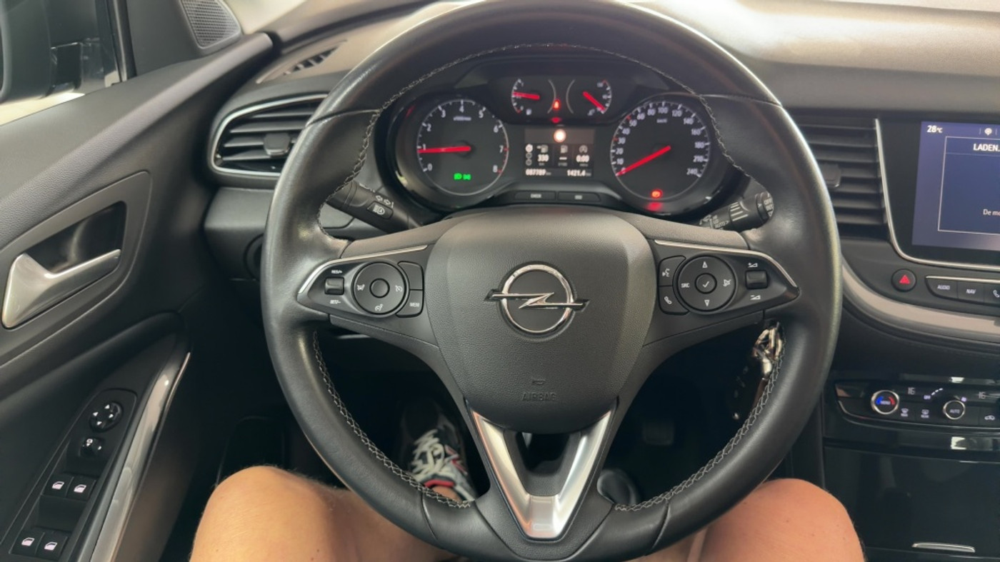 Foto van Opel Grandland X