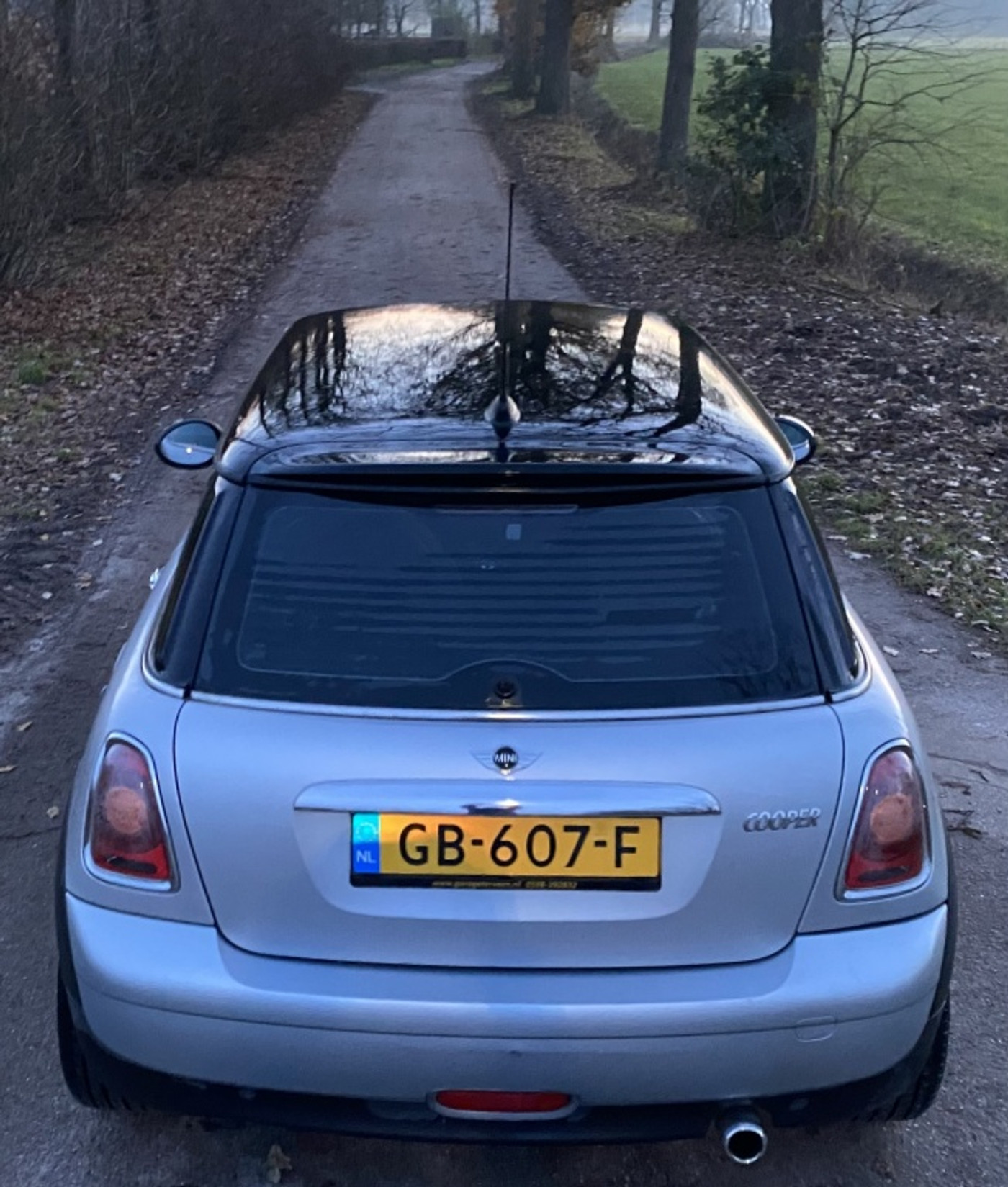 Foto van Mini Mini Cooper