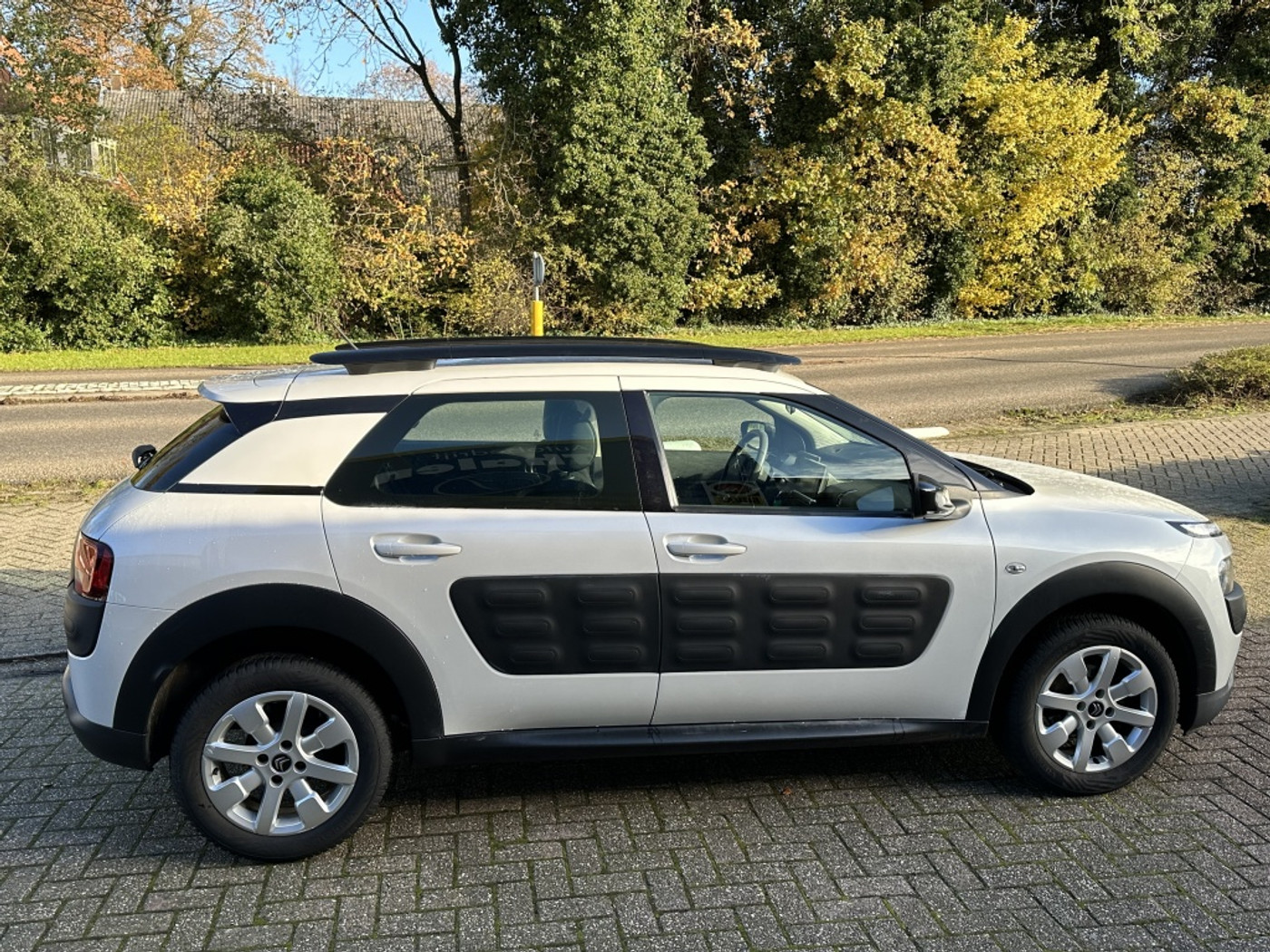 Foto van Citroen C4 Cactus