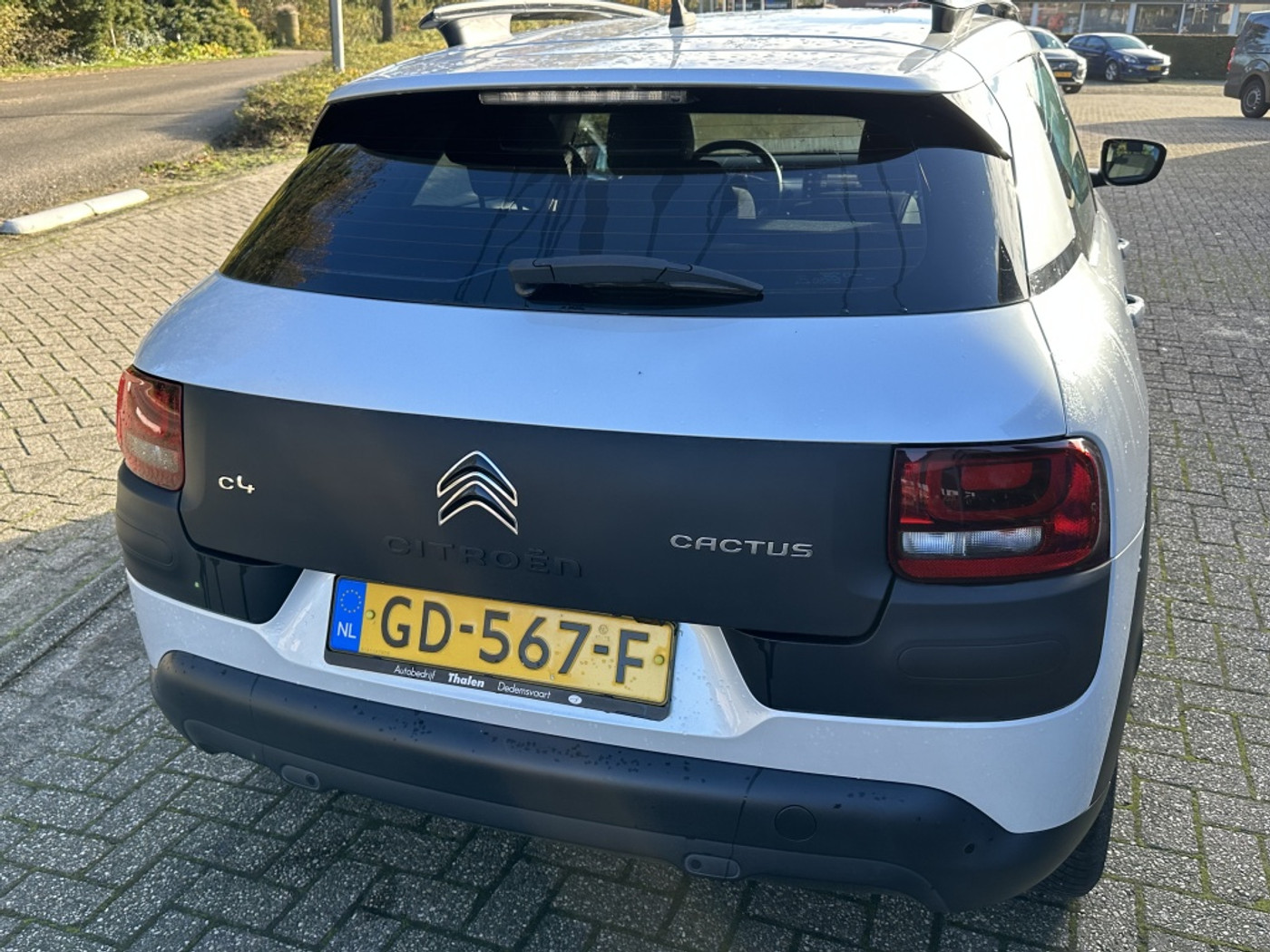 Foto van Citroen C4 Cactus