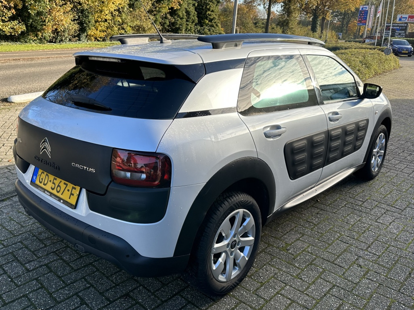 Foto van Citroen C4 Cactus