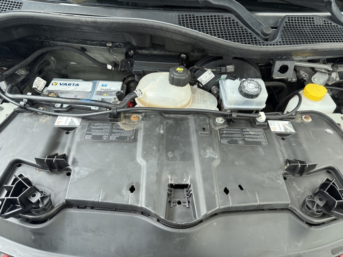 Foto van Smart Forfour