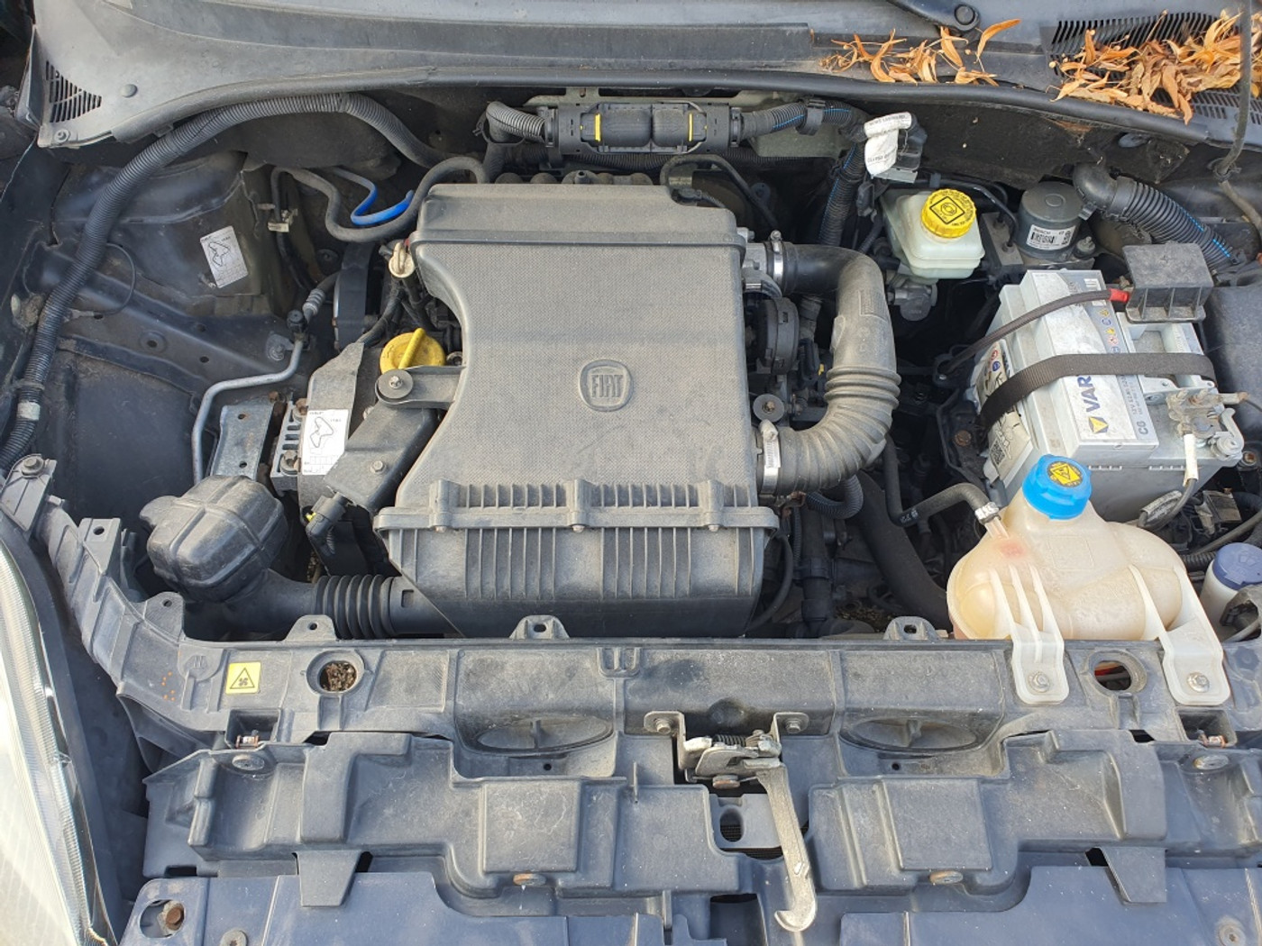 Foto van Fiat Fiat Punto
