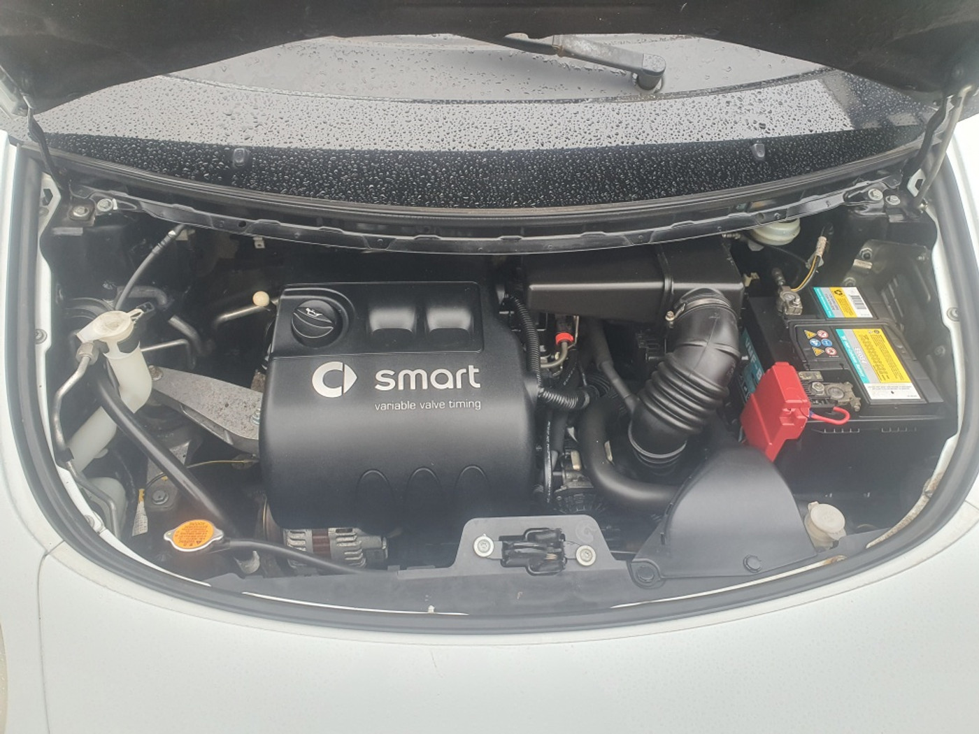 Foto van Smart Forfour