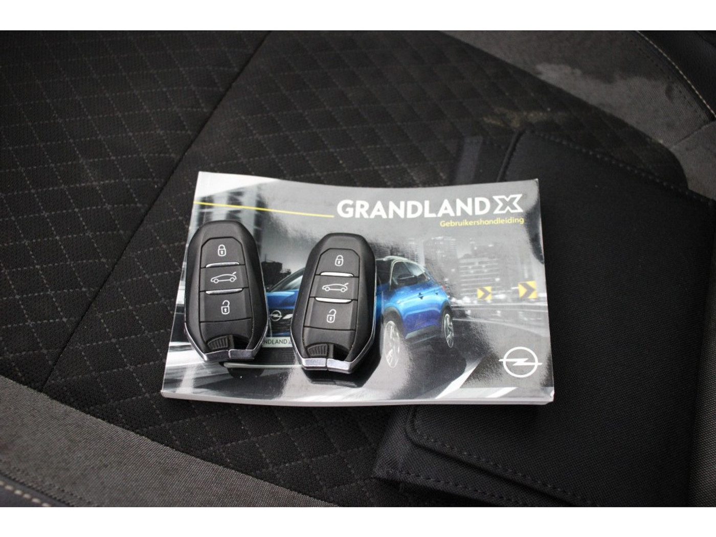 Foto van Opel Grandland X