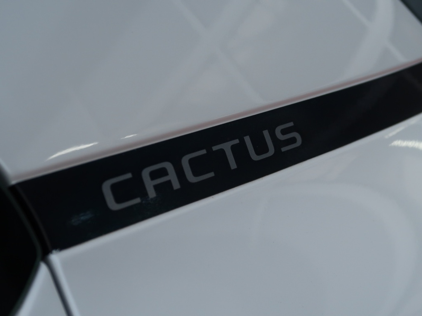 Foto van Citroen C4 Cactus