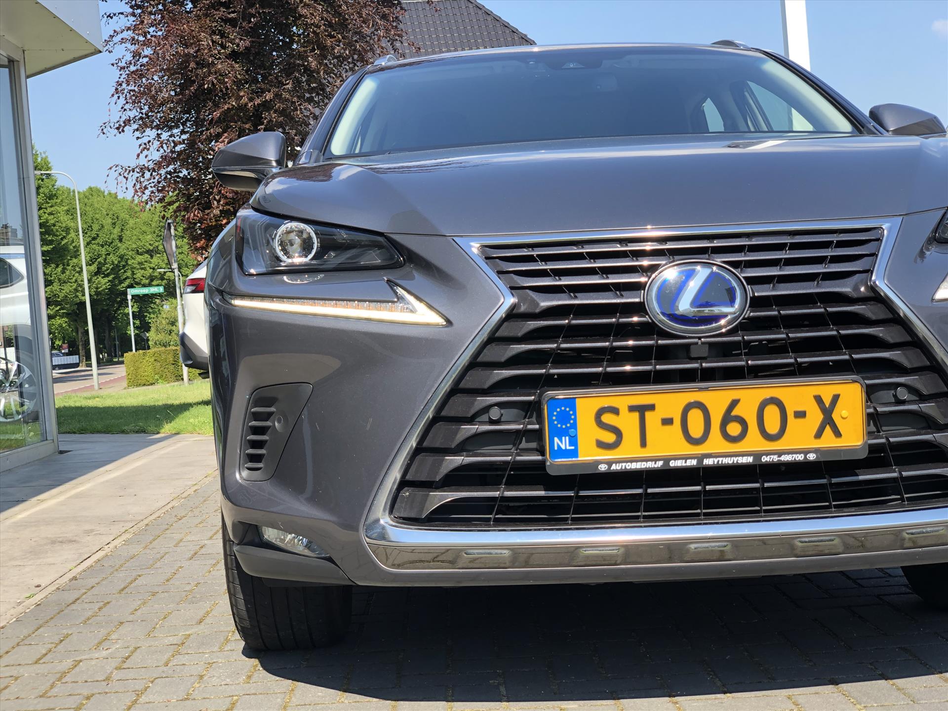 Foto van Lexus Lexus Nx300h