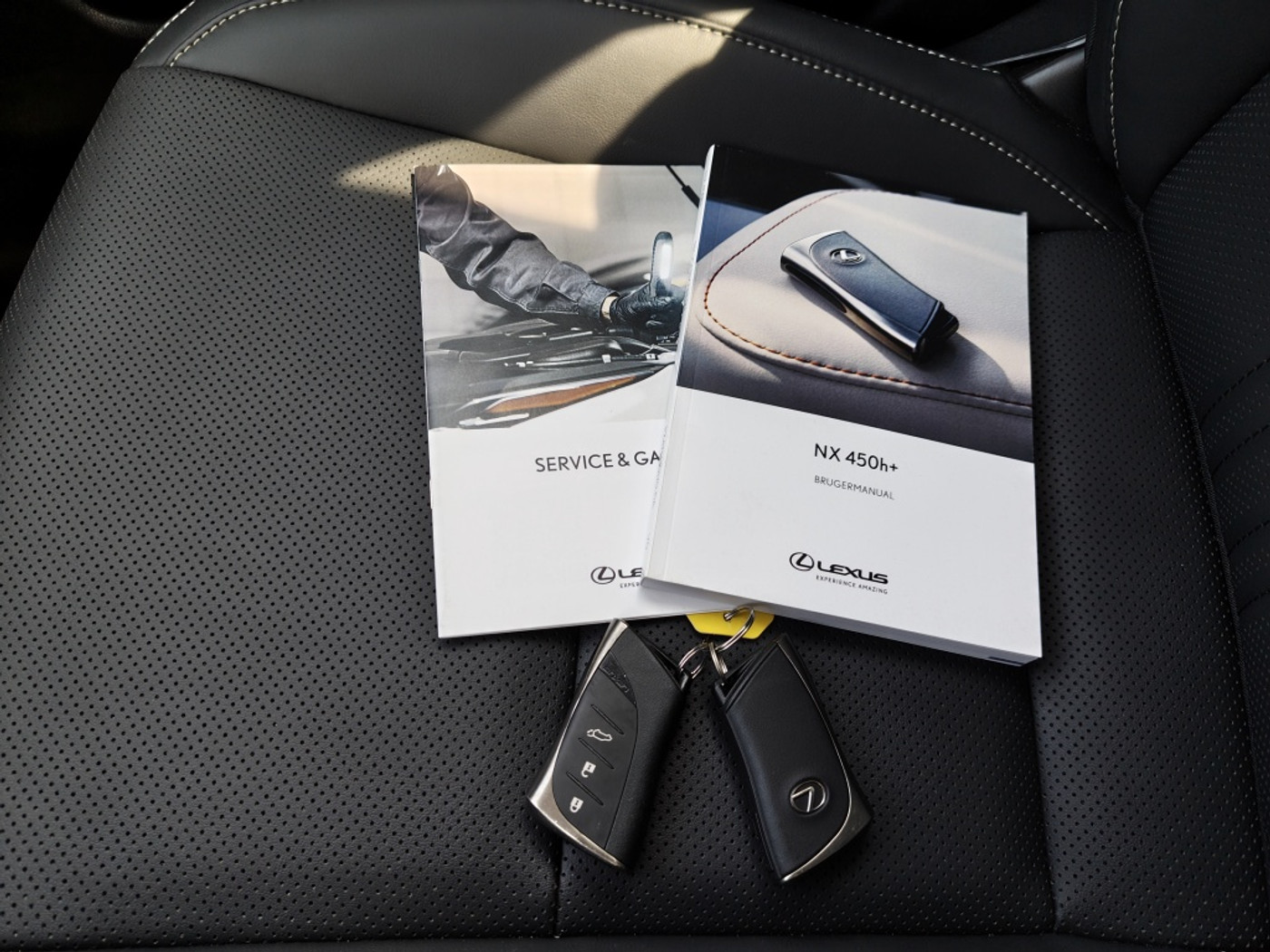 Foto van Lexus NX