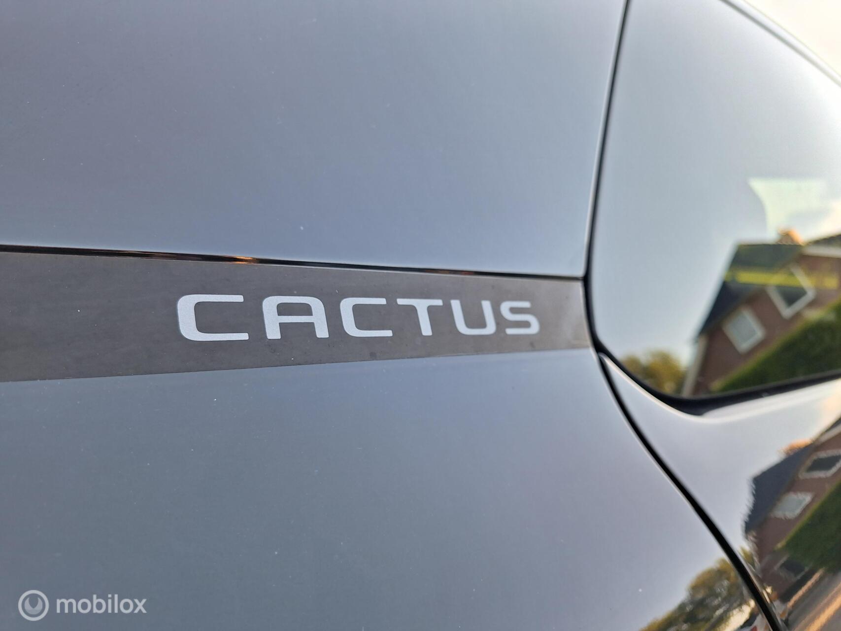Foto van Citroen C4 Cactus