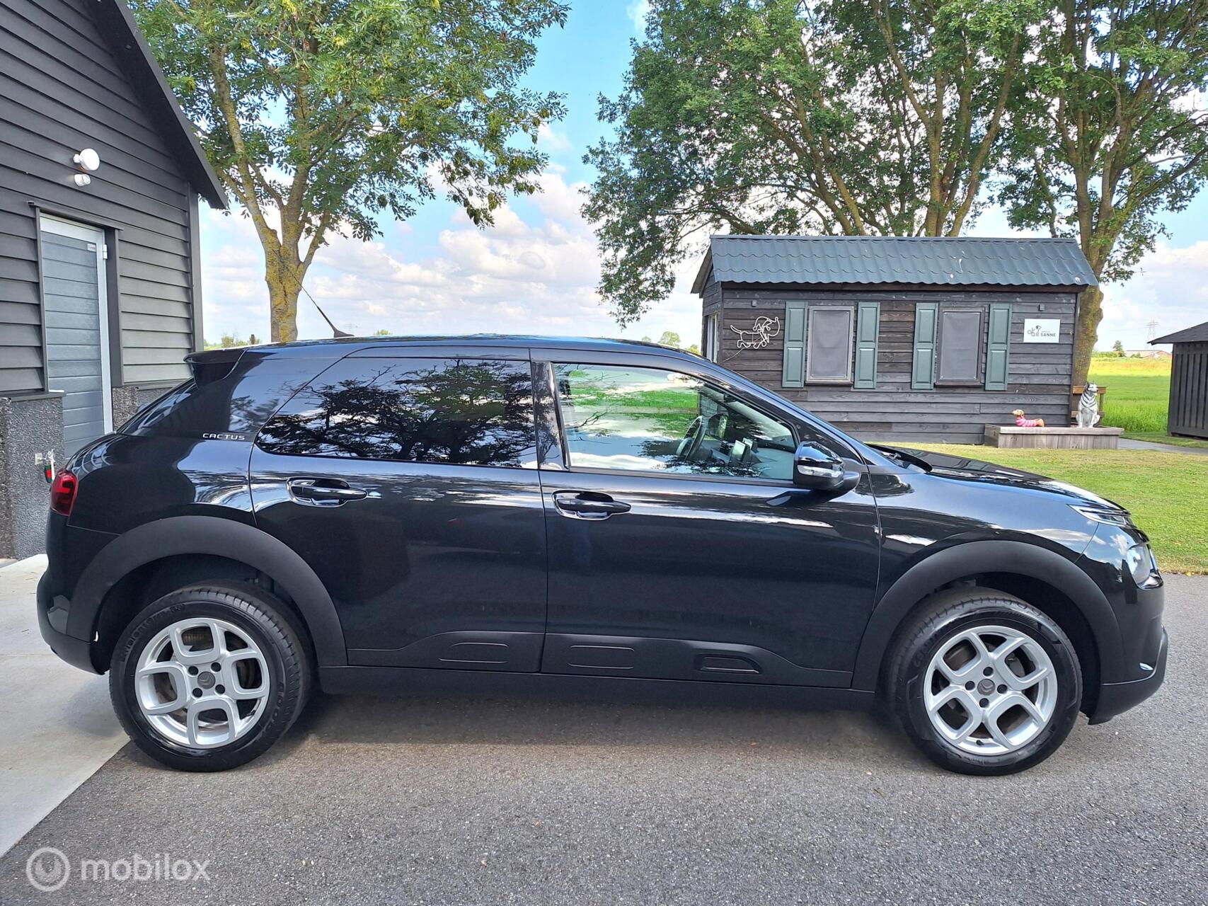 Foto van Citroen C4 Cactus