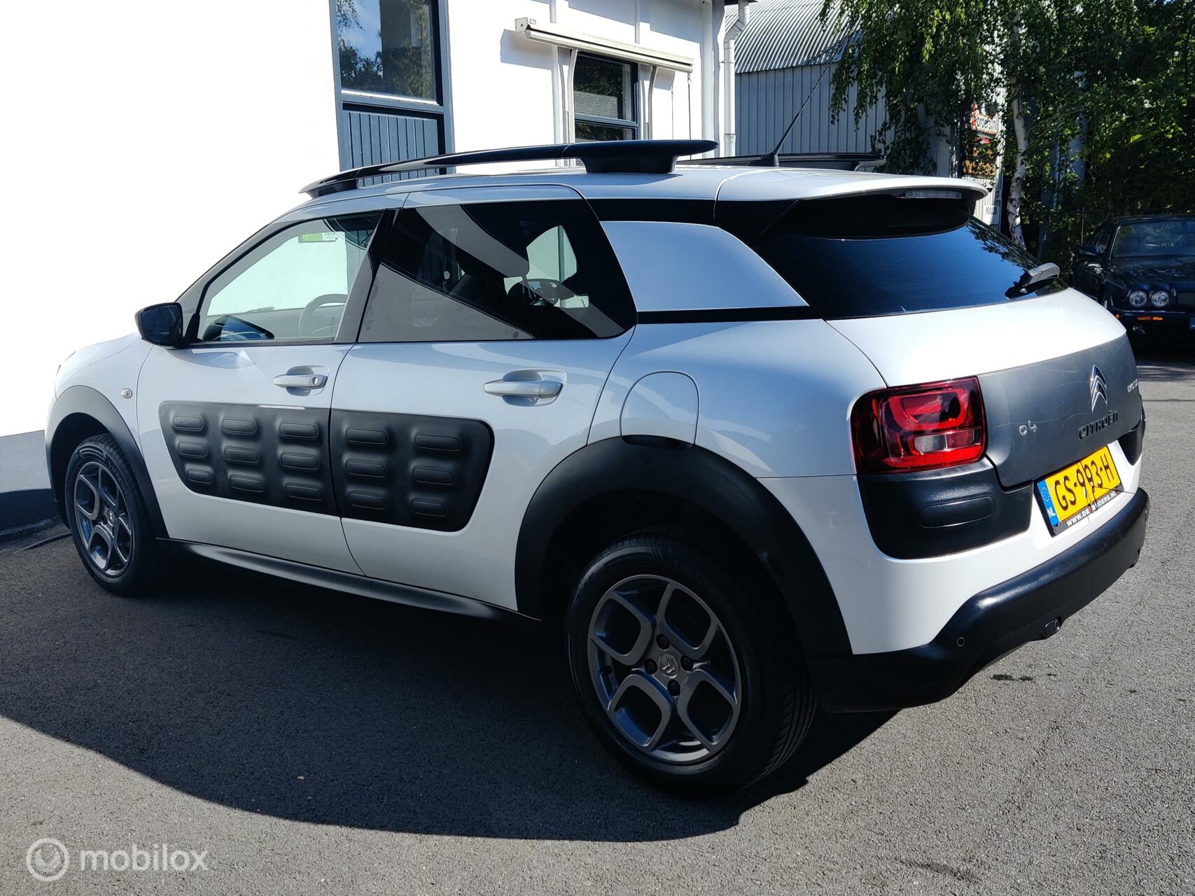 Foto van Citroen C4 Cactus
