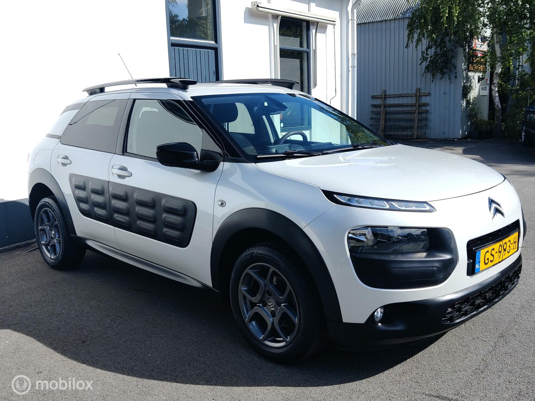 Foto van Citroen C4 Cactus