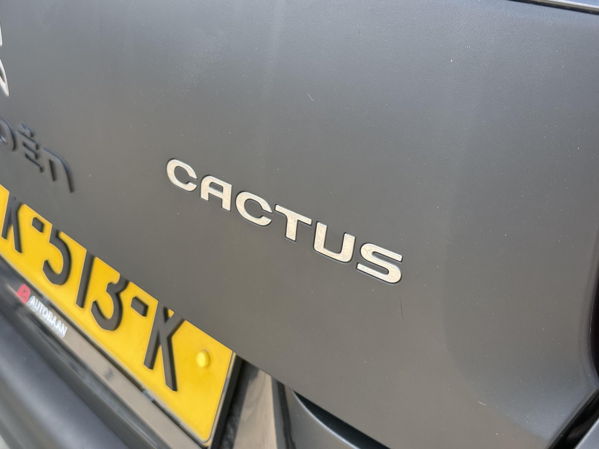 Foto van Citroen C4 Cactus