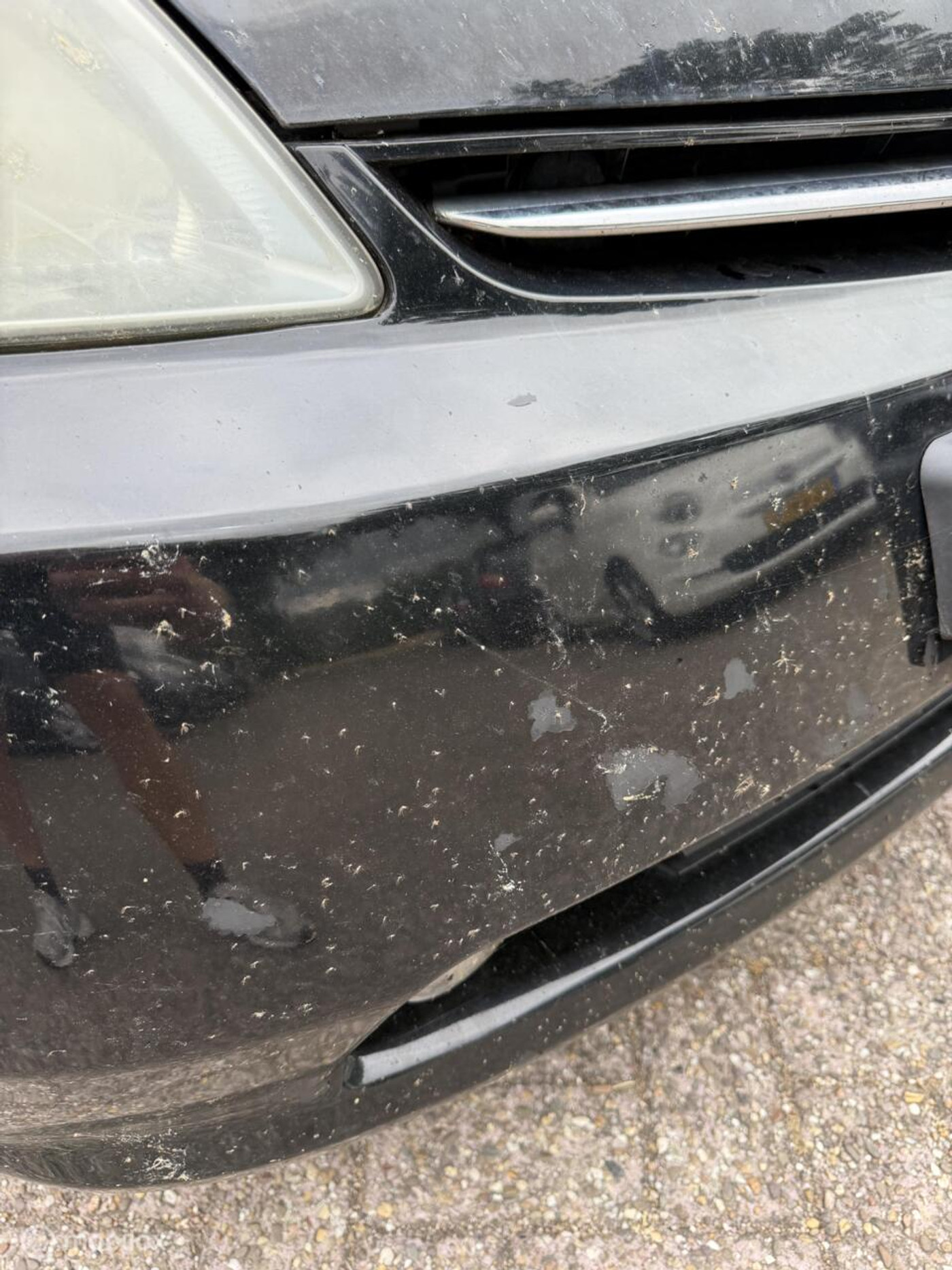 Foto van Toyota Toyota Prius