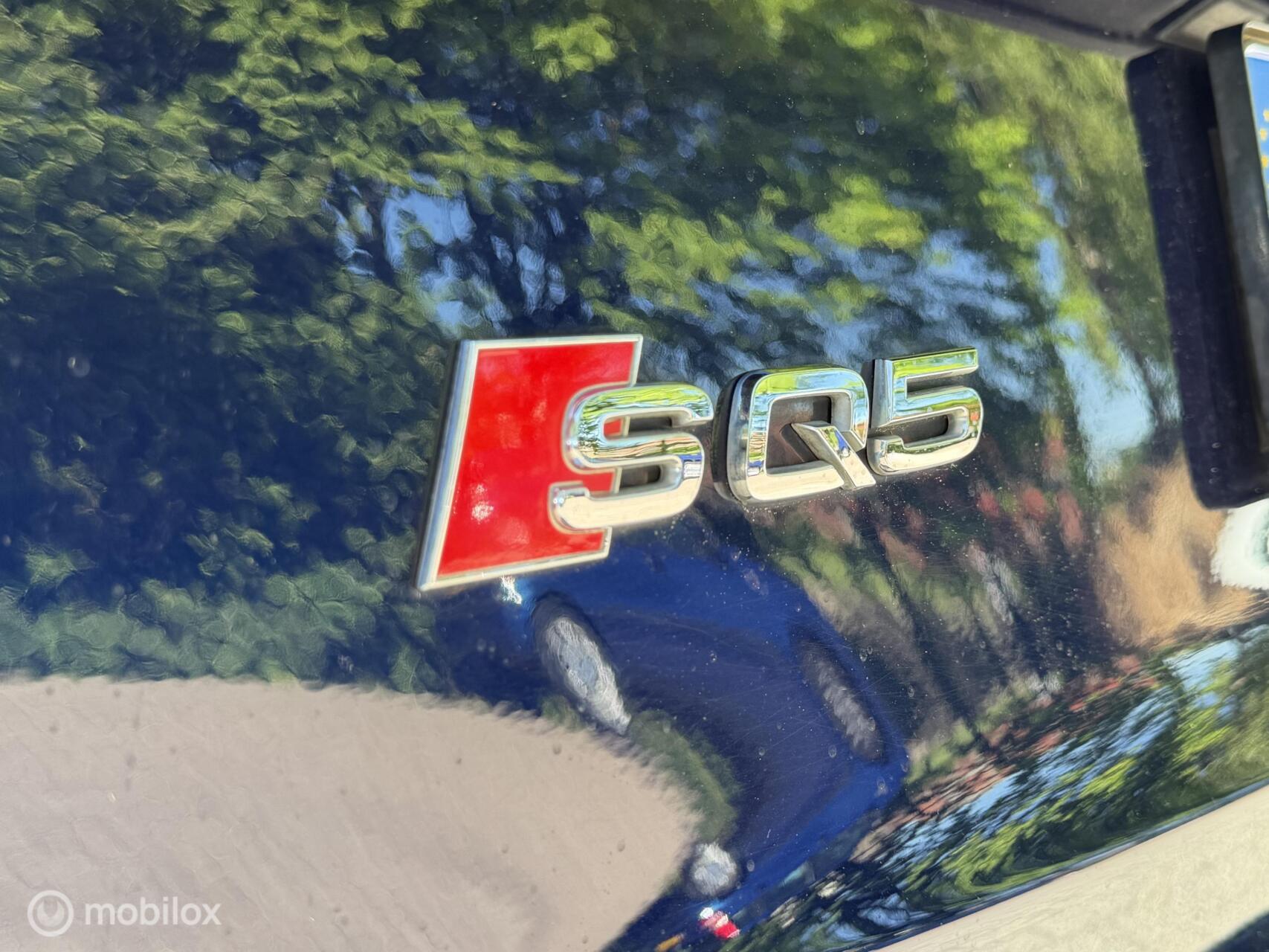 Foto van Audi Sq5 Tdi