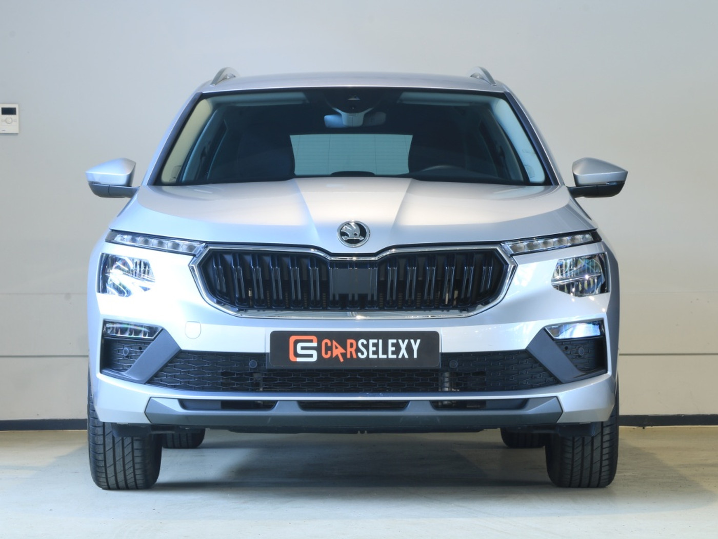 Foto van Skoda Kamiq