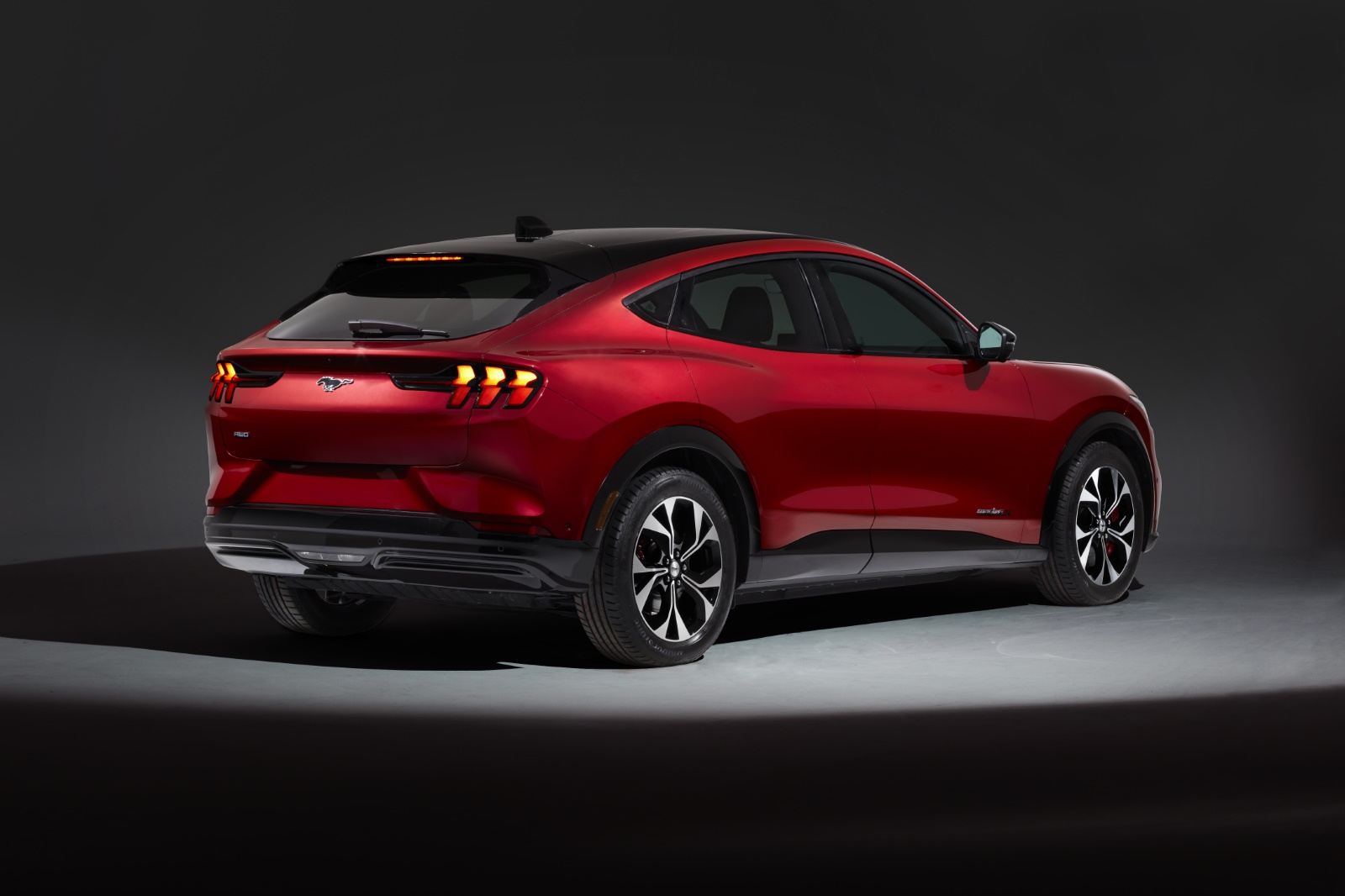 Foto van Ford Mustang Mach-e