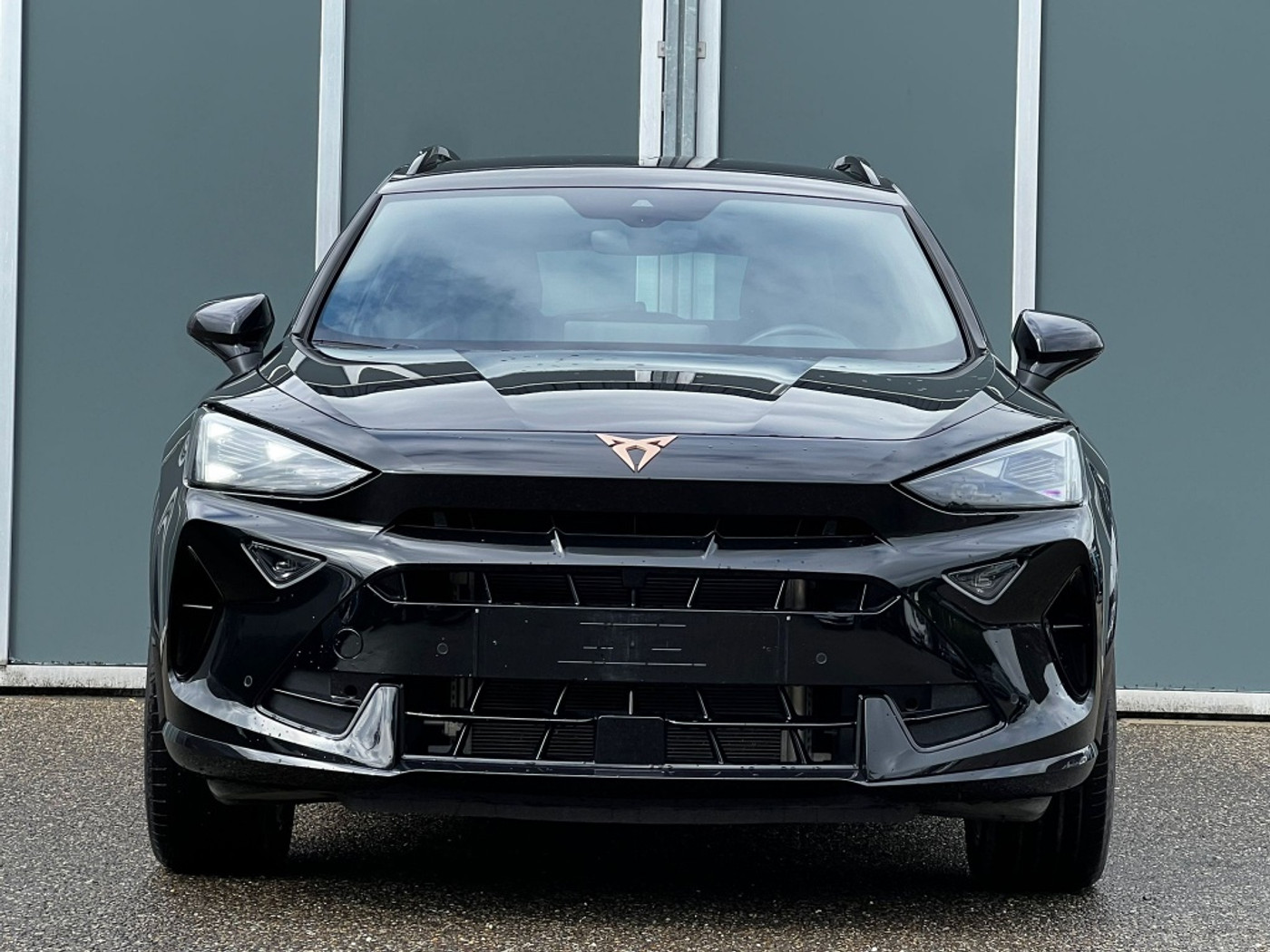 Foto van Cupra Formentor