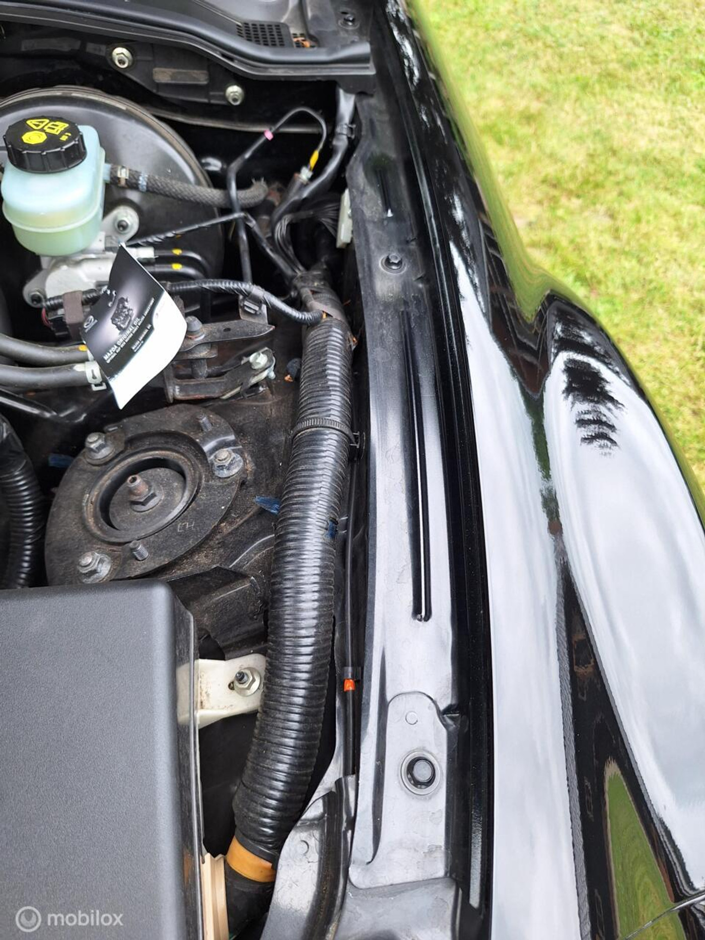 Foto van Mazda Mazda Mx-5