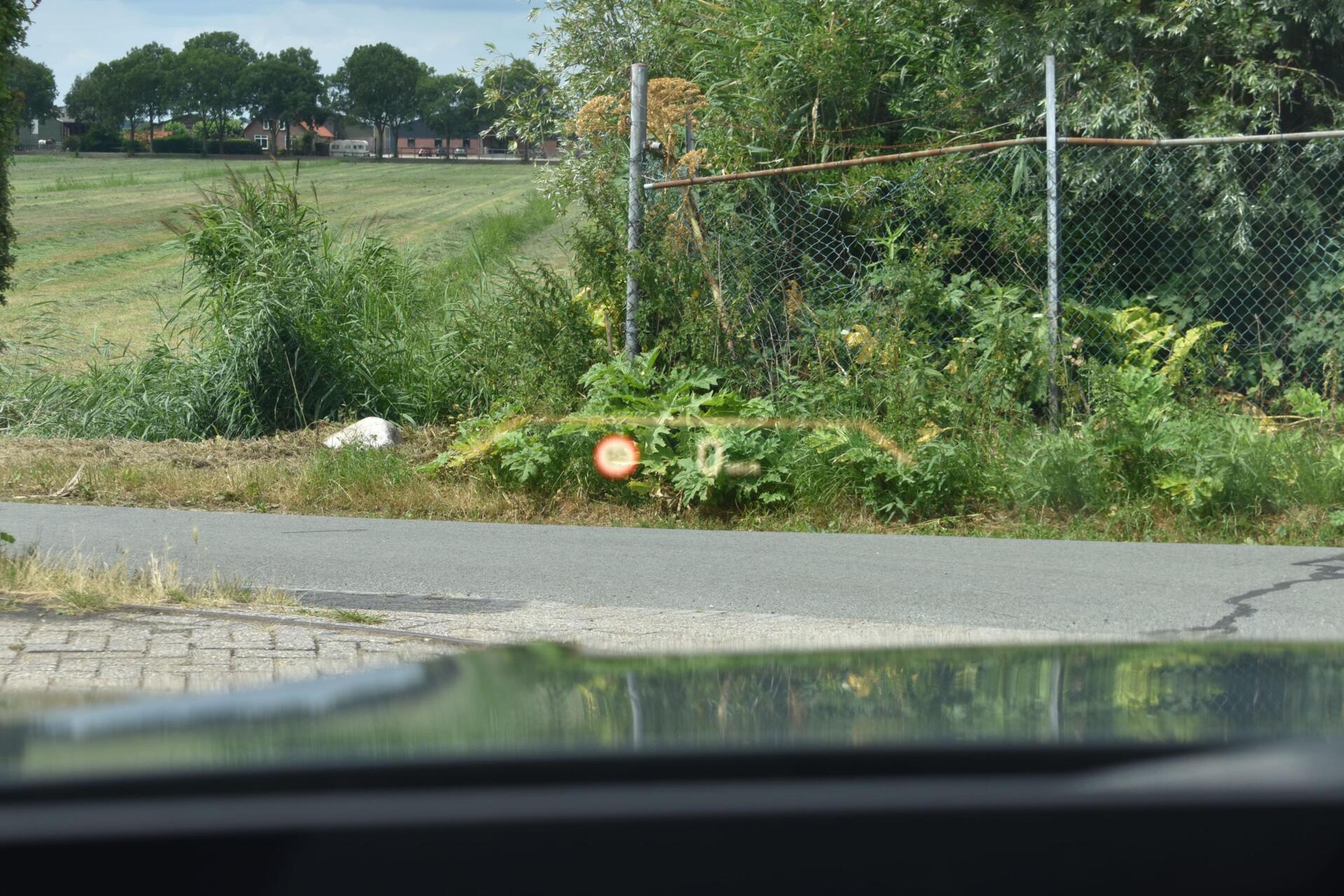 Foto van BMW 320e