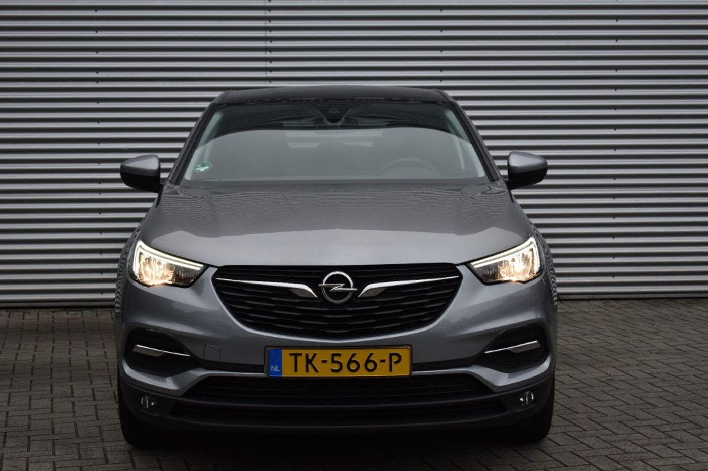 Foto van Opel Grandland X