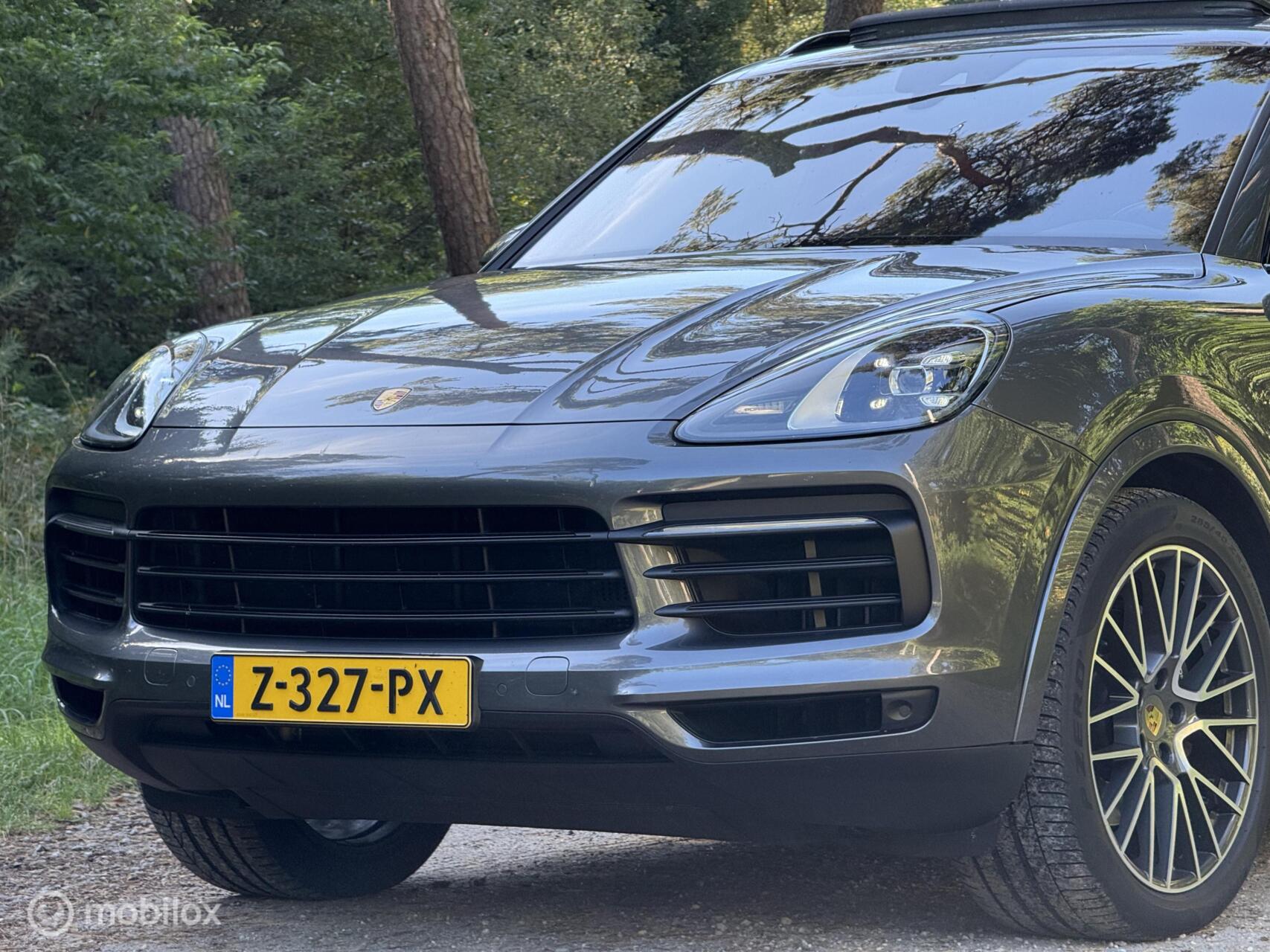 Foto van Porsche Cayenne