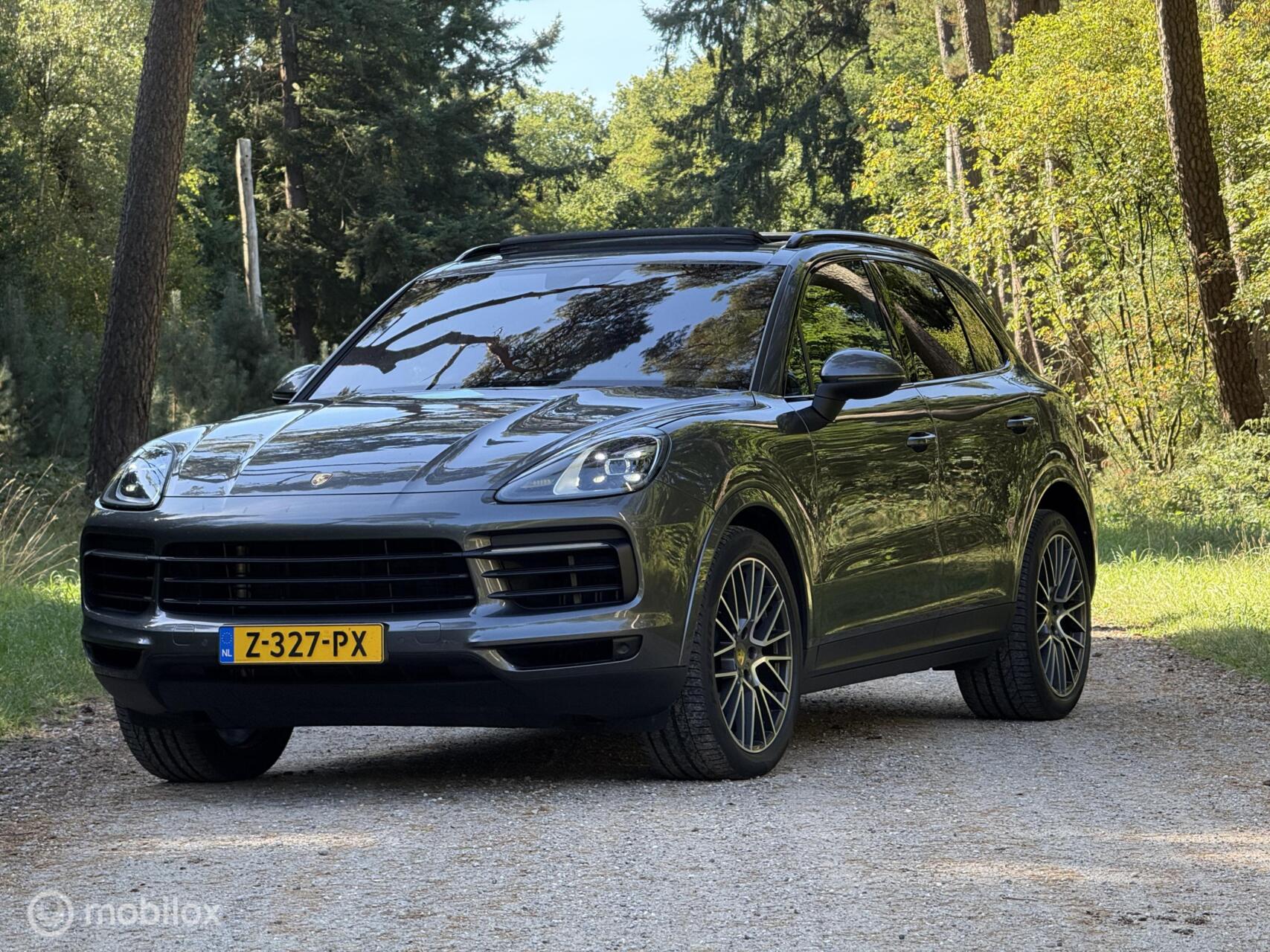 Foto van Porsche Cayenne