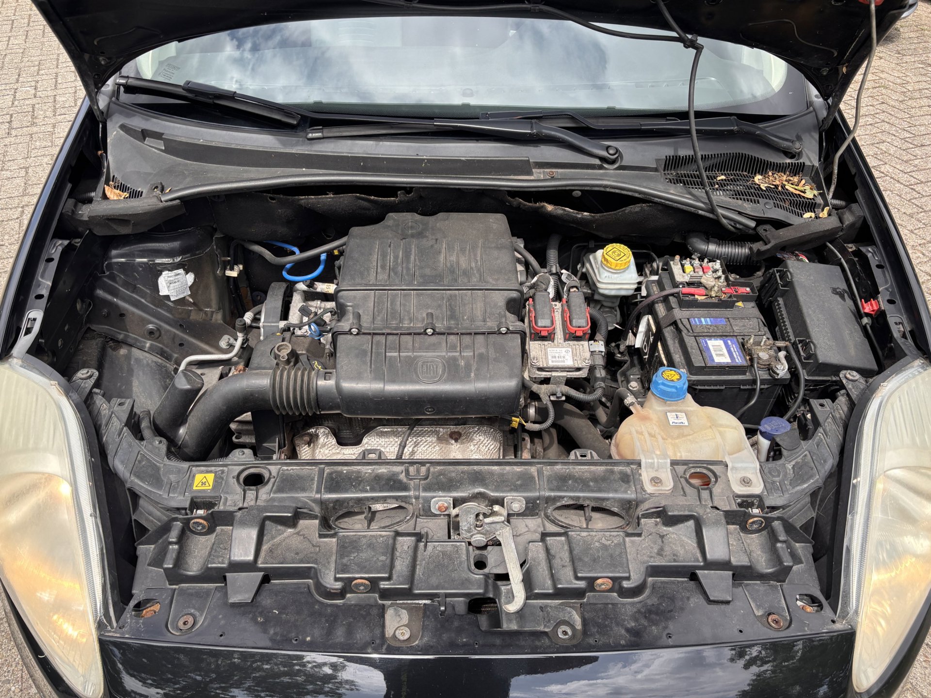 Foto van Fiat Fiat Punto