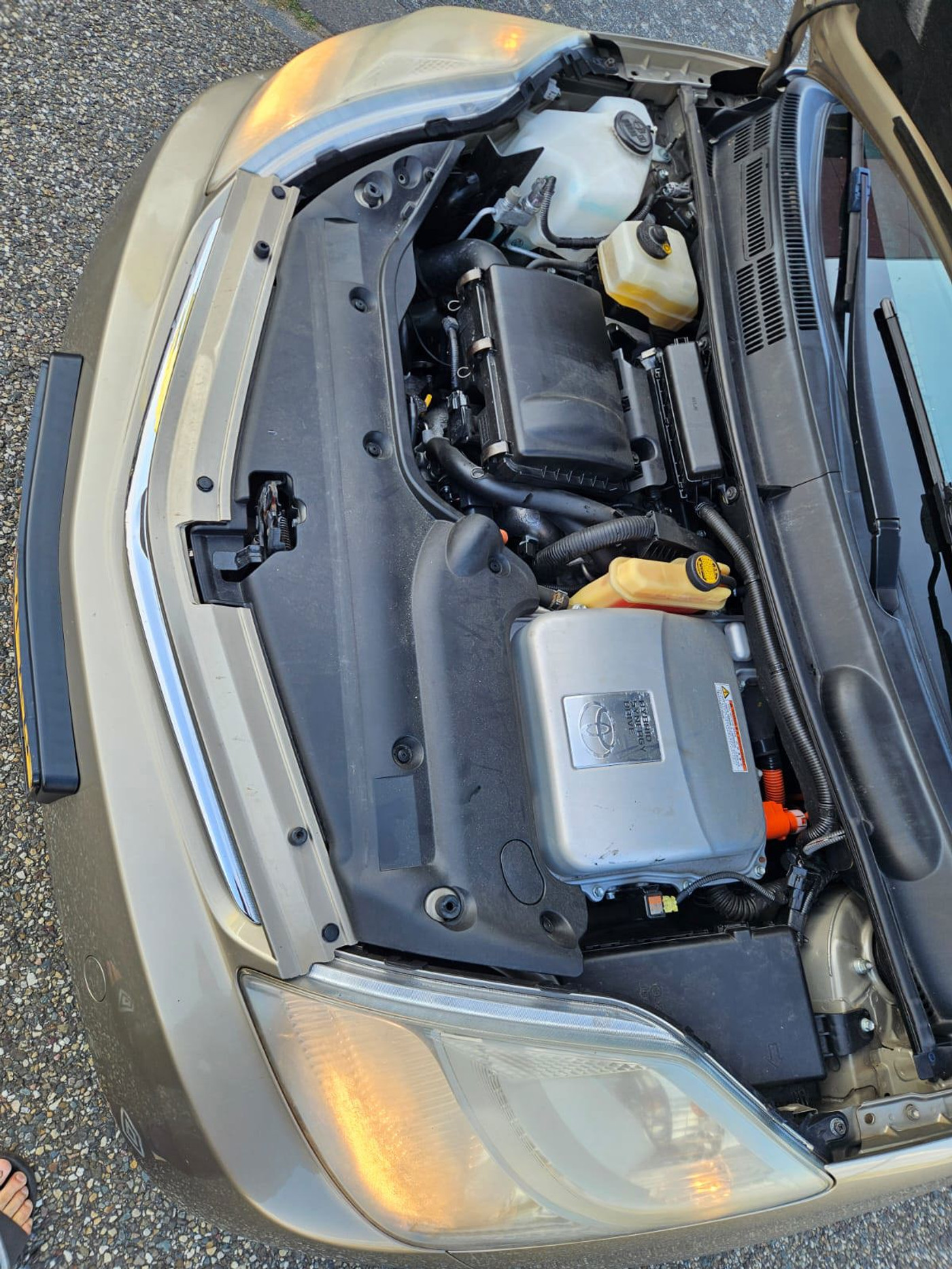 Foto van Toyota Toyota Prius