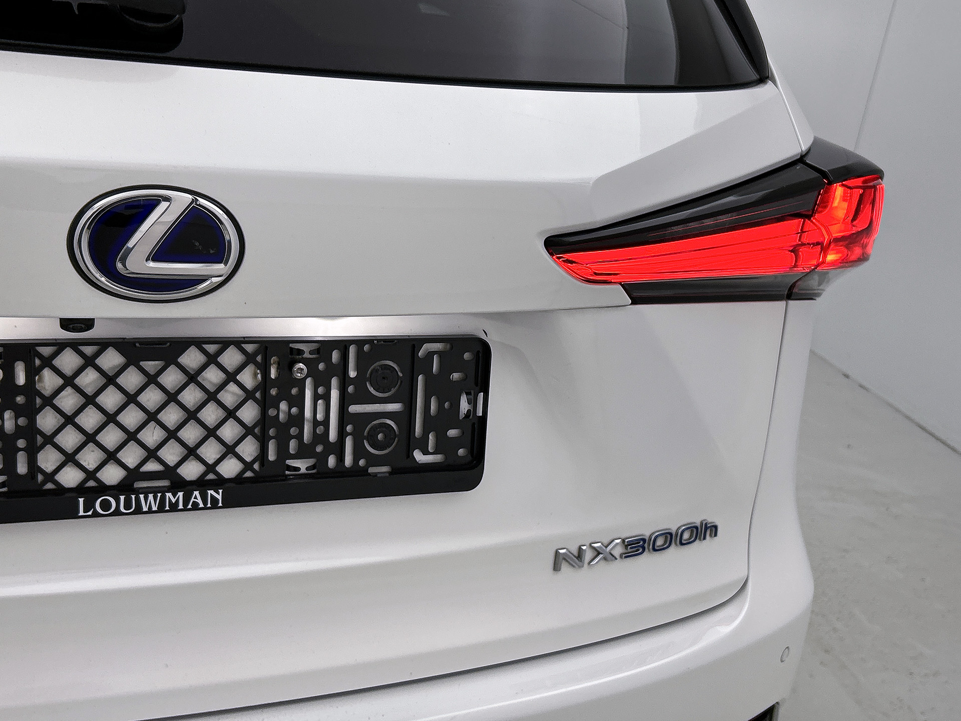Foto van Lexus NX