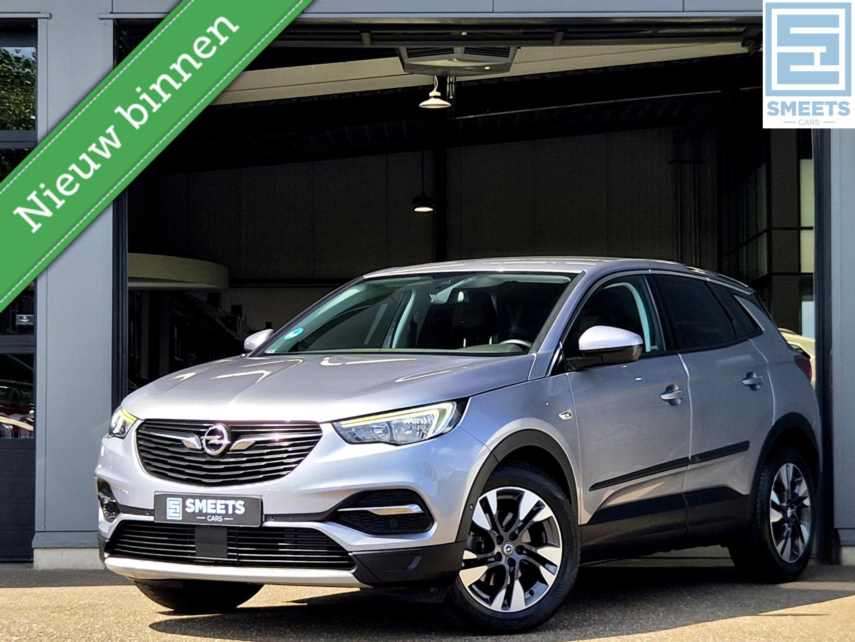 Opel Grandland X 1.2 Turbo 120 Jaar Edition |Carplay|PDC|Nav 2019 - voorkant