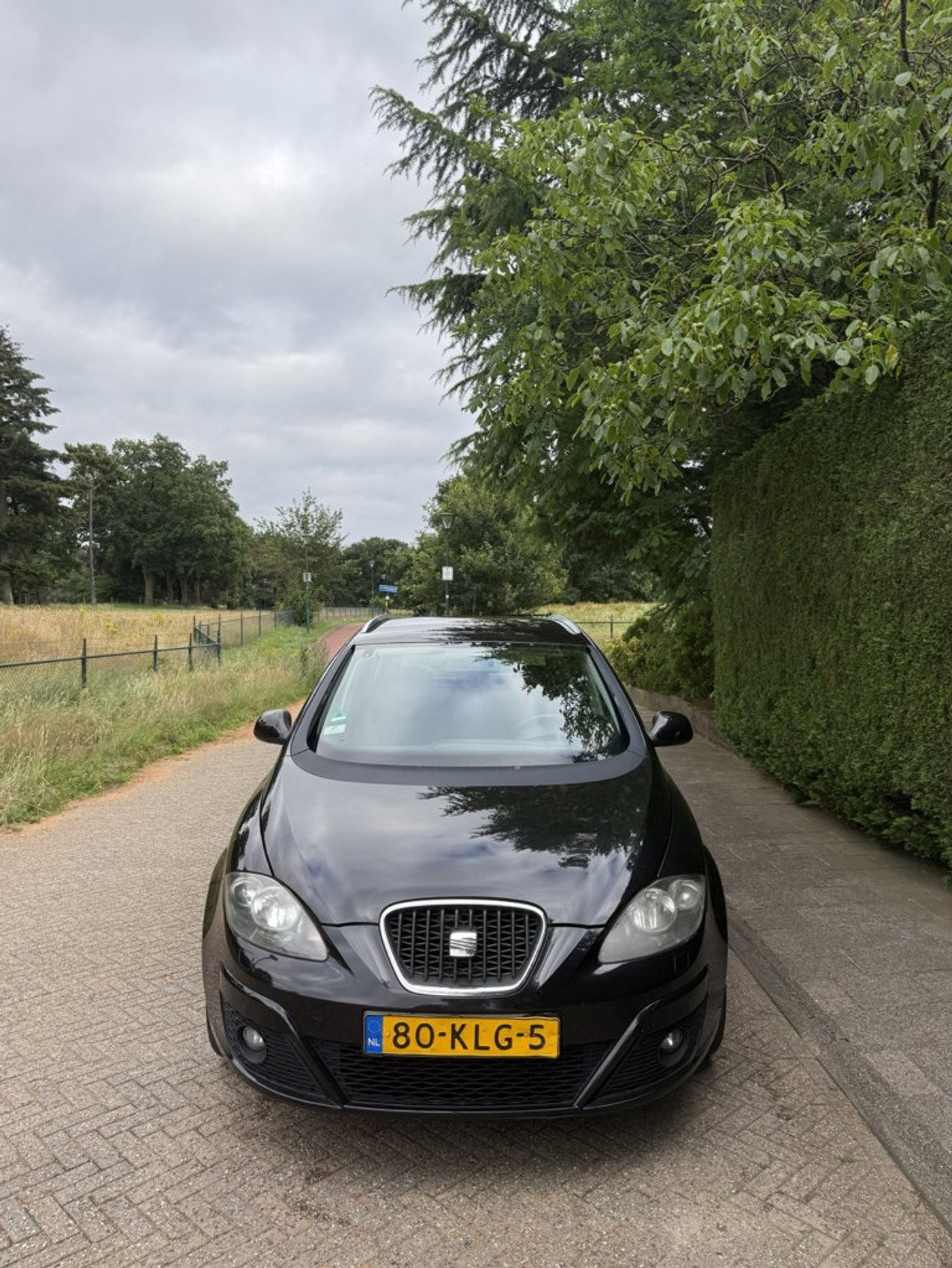 Foto van Seat Altea XL