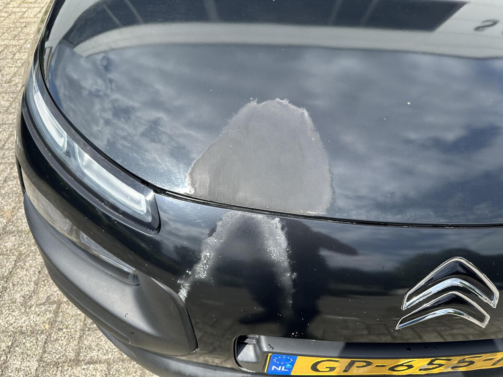 Foto van Citroen C4 Cactus