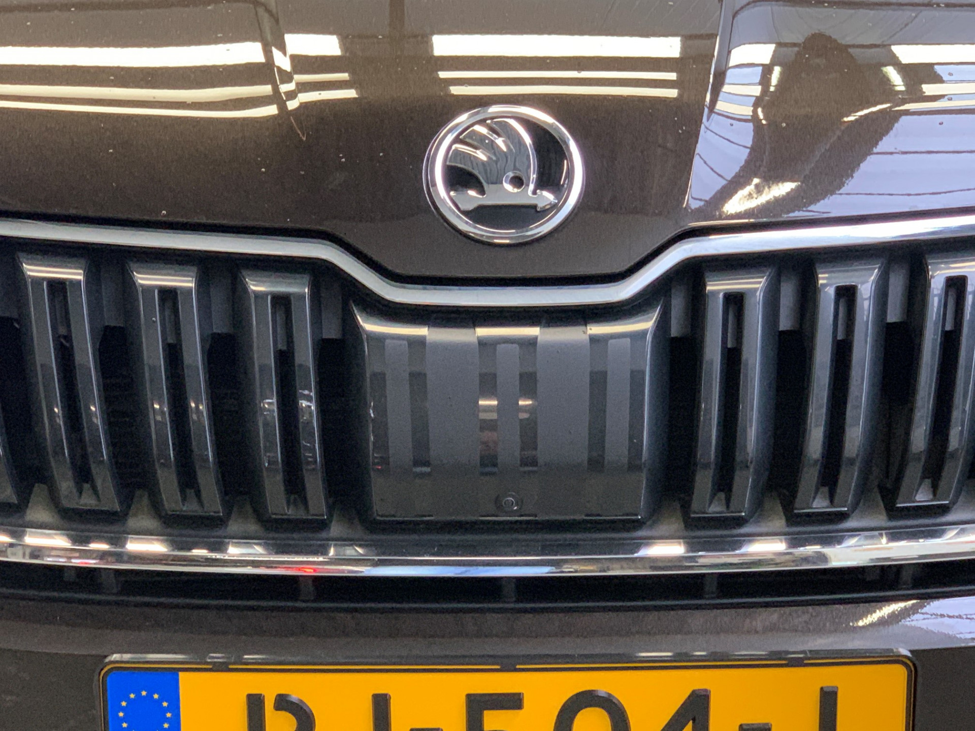 Foto van Skoda Kodiaq