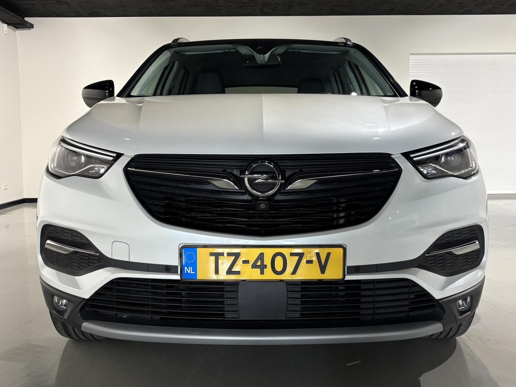 Foto van Opel Grandland X