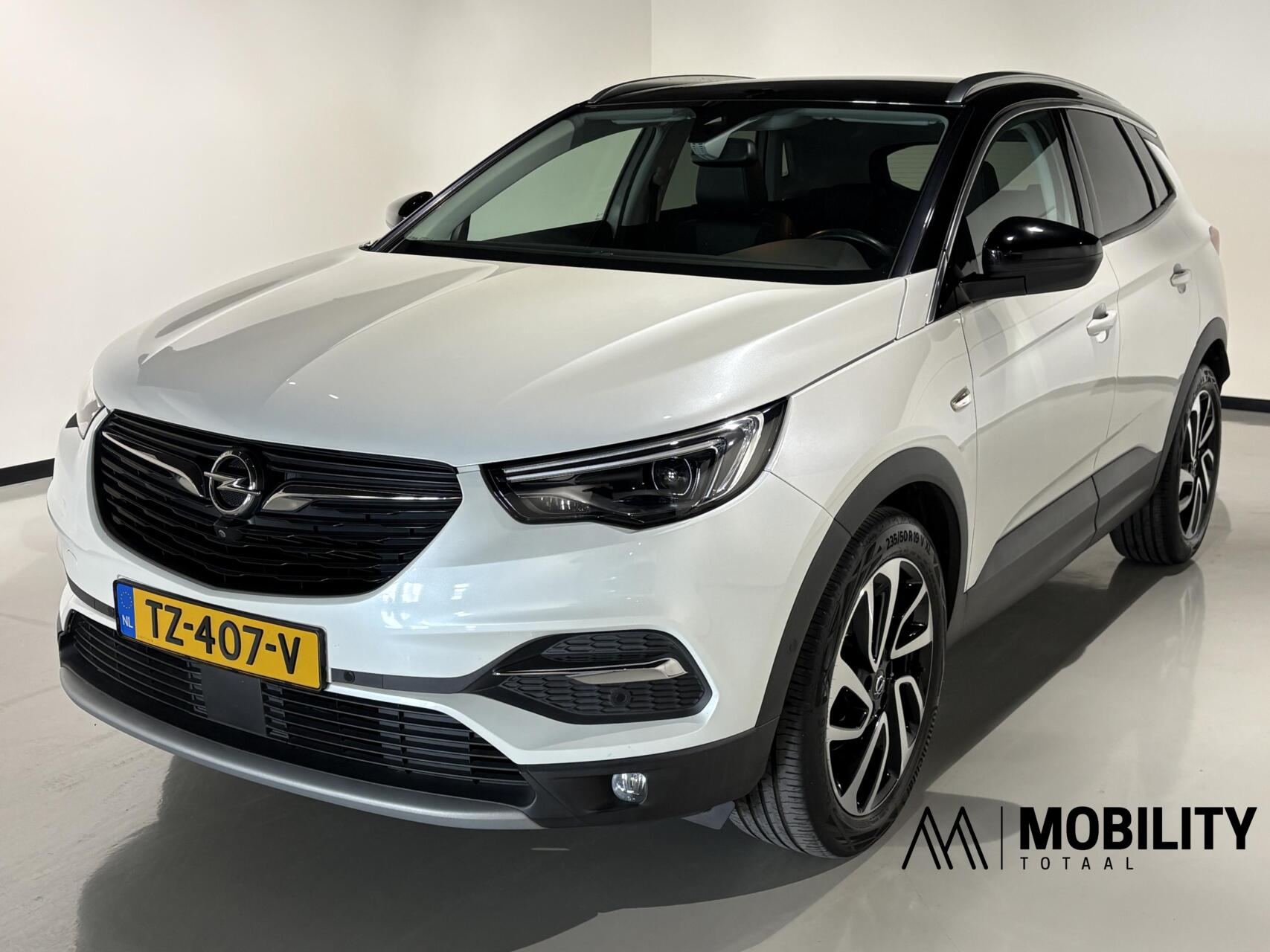 Foto van Opel Grandland X
