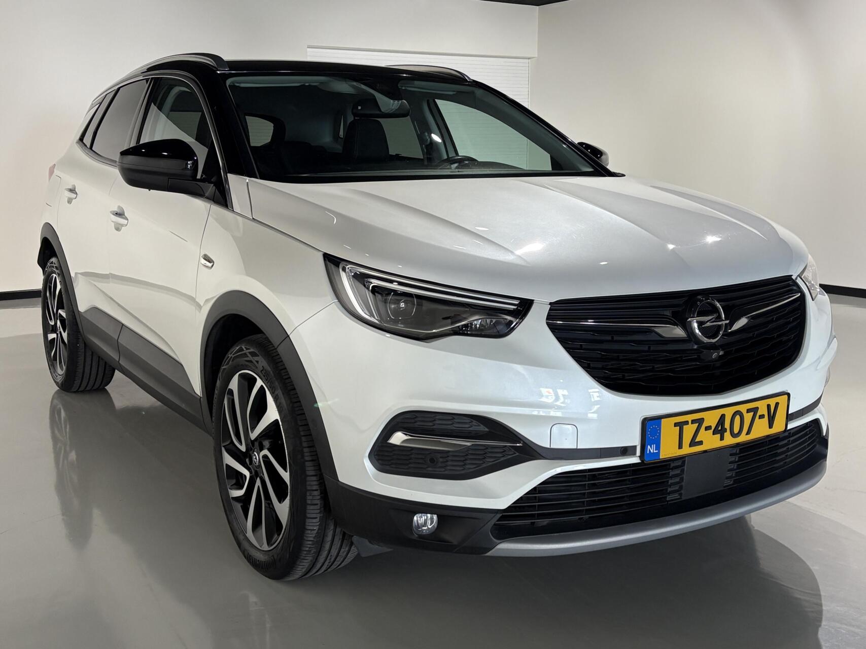 Foto van Opel Grandland X