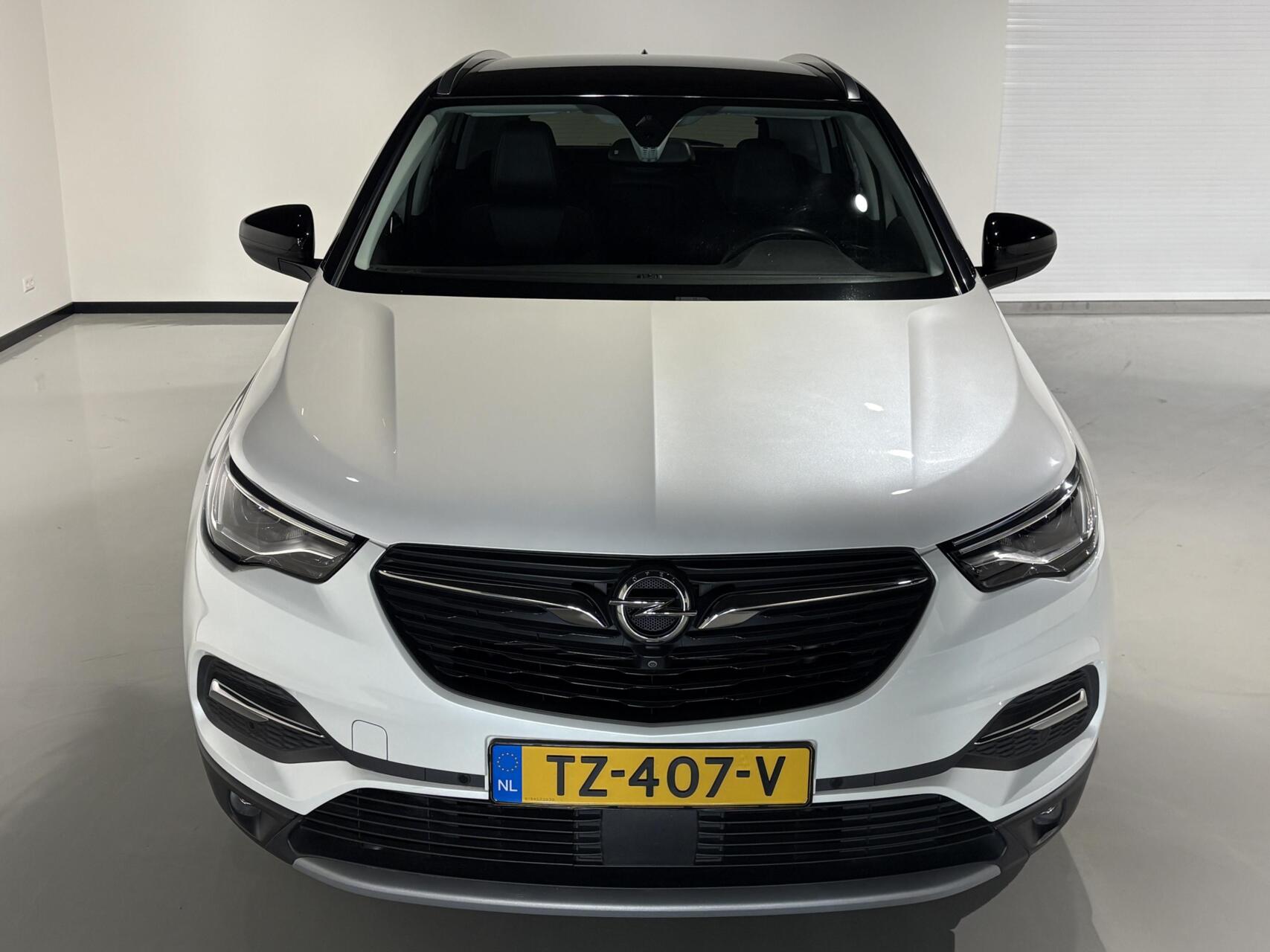 Foto van Opel Grandland X