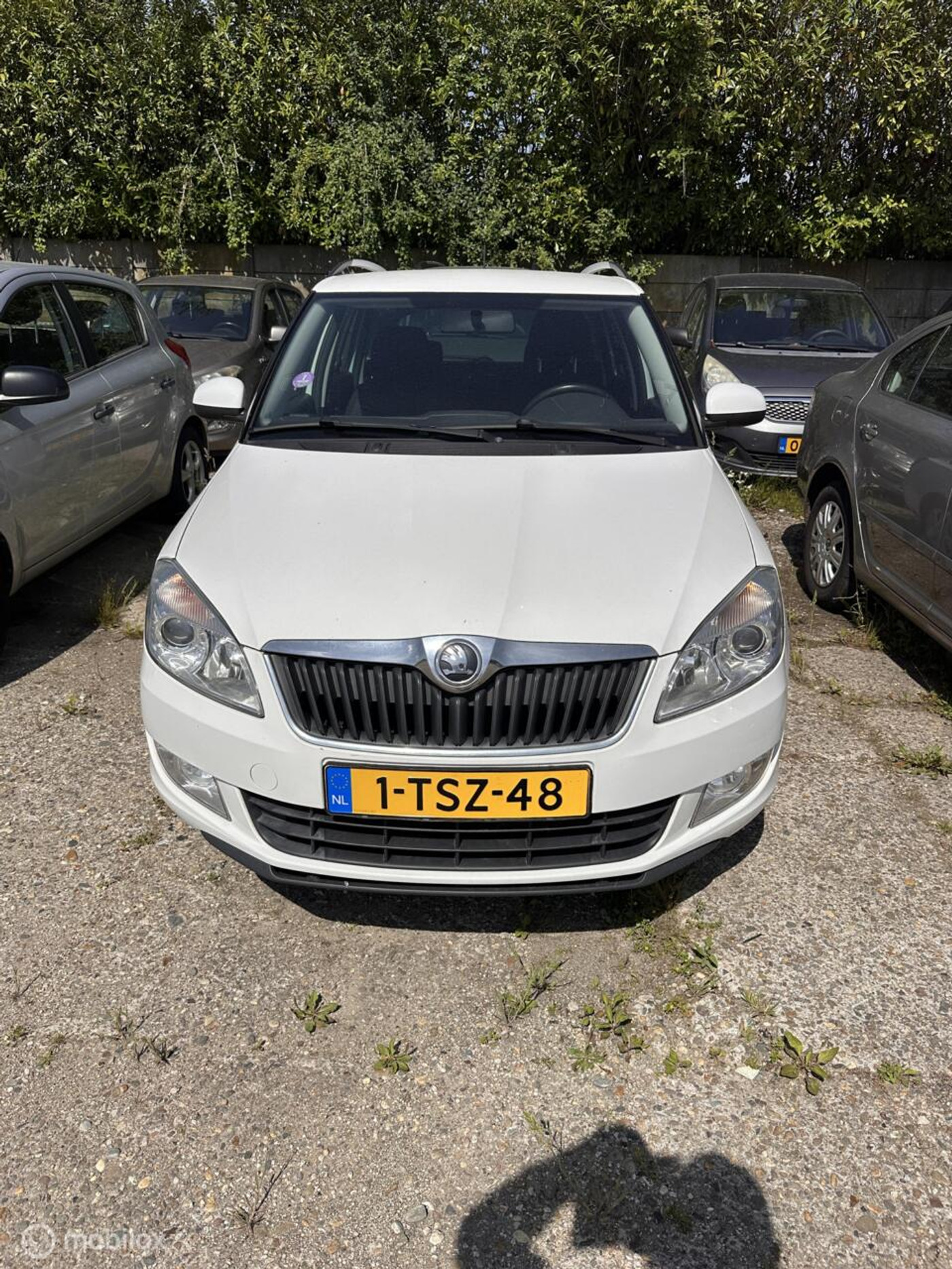 Foto van Skoda Fabia