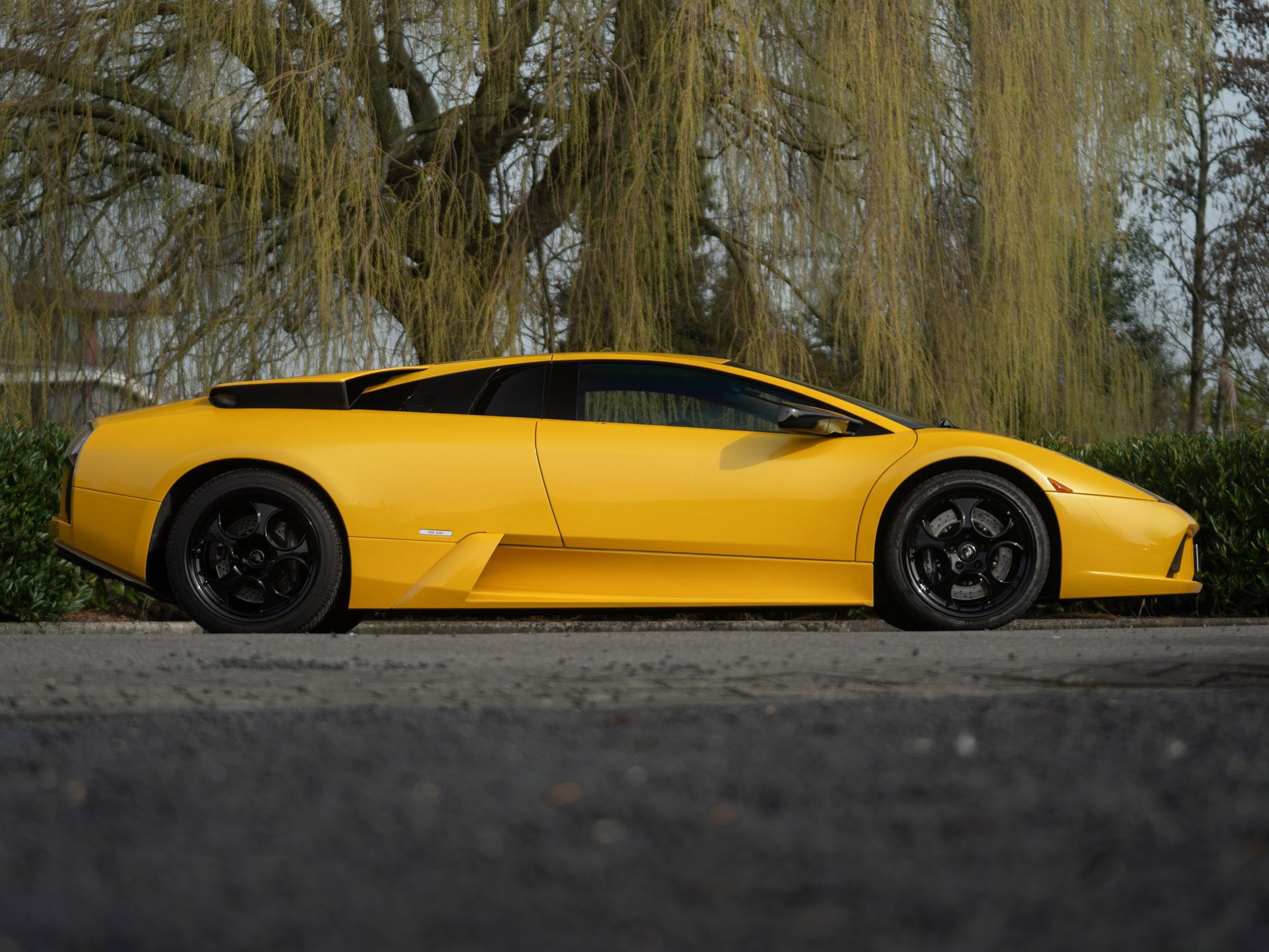 Foto van Lamborghini 147 Murcielago