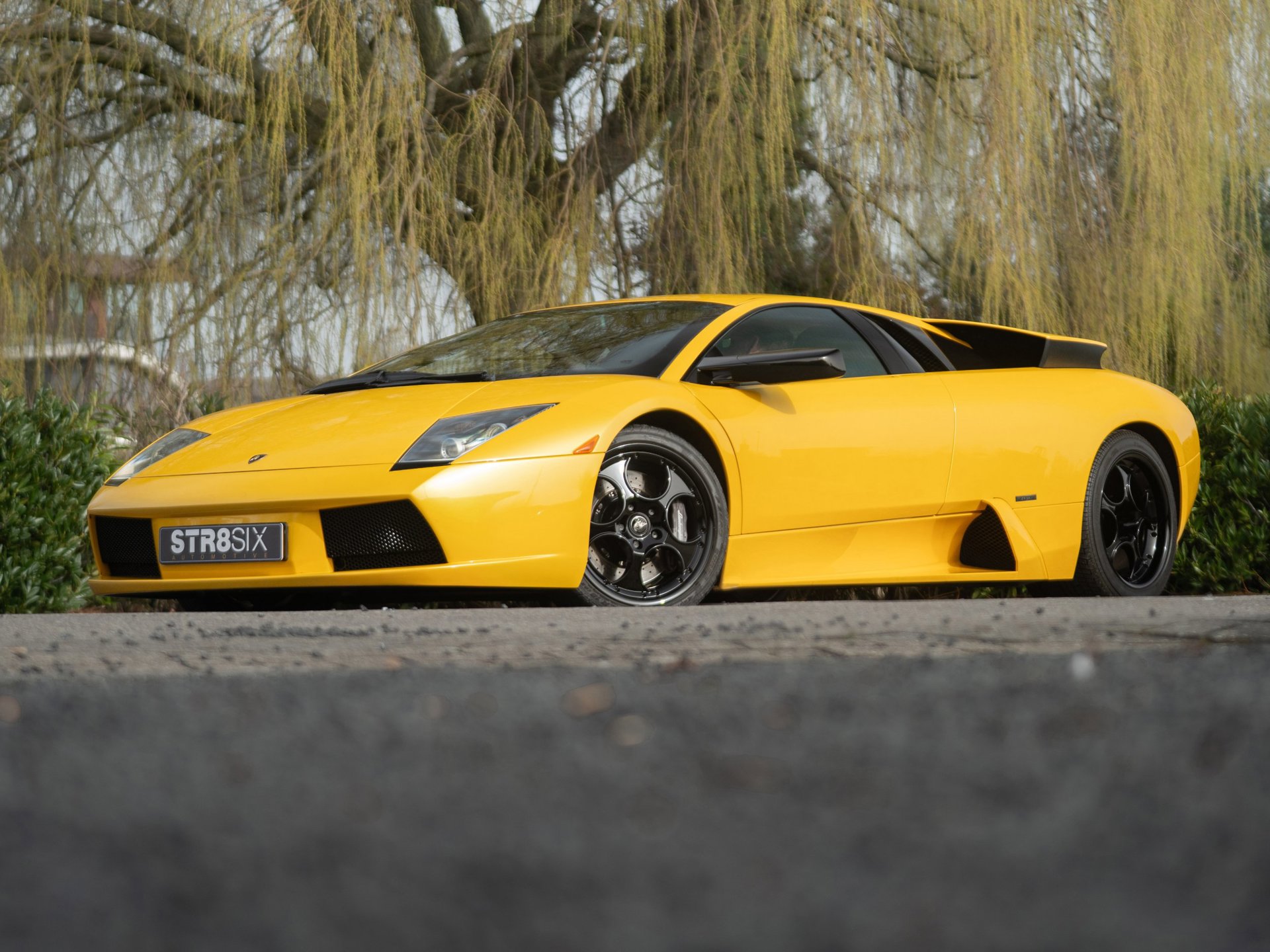 Foto van Lamborghini 147 Murcielago