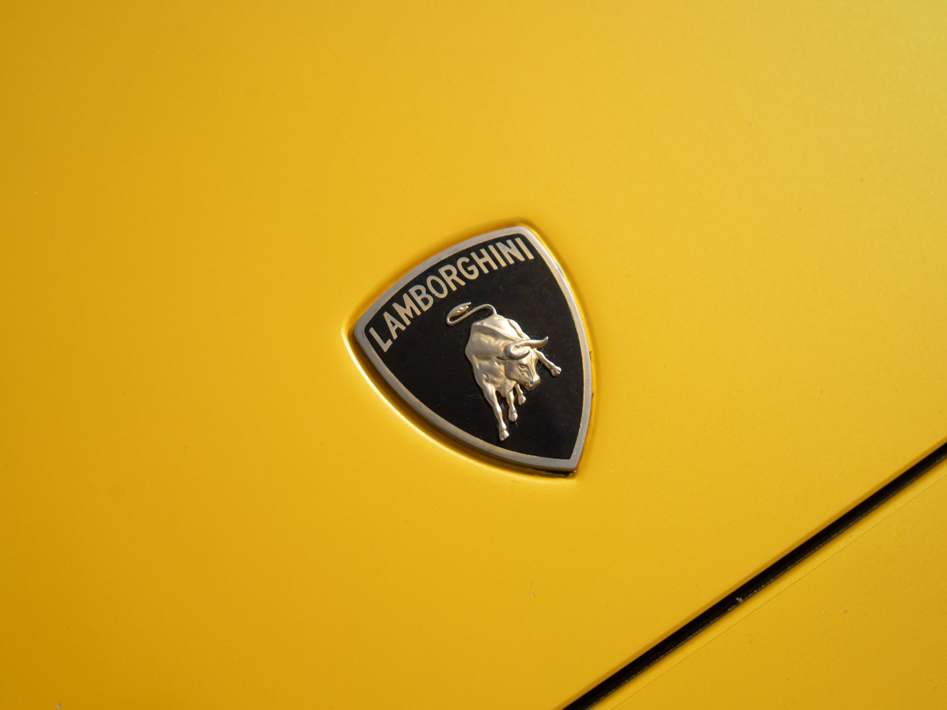 Foto van Lamborghini 147 Murcielago