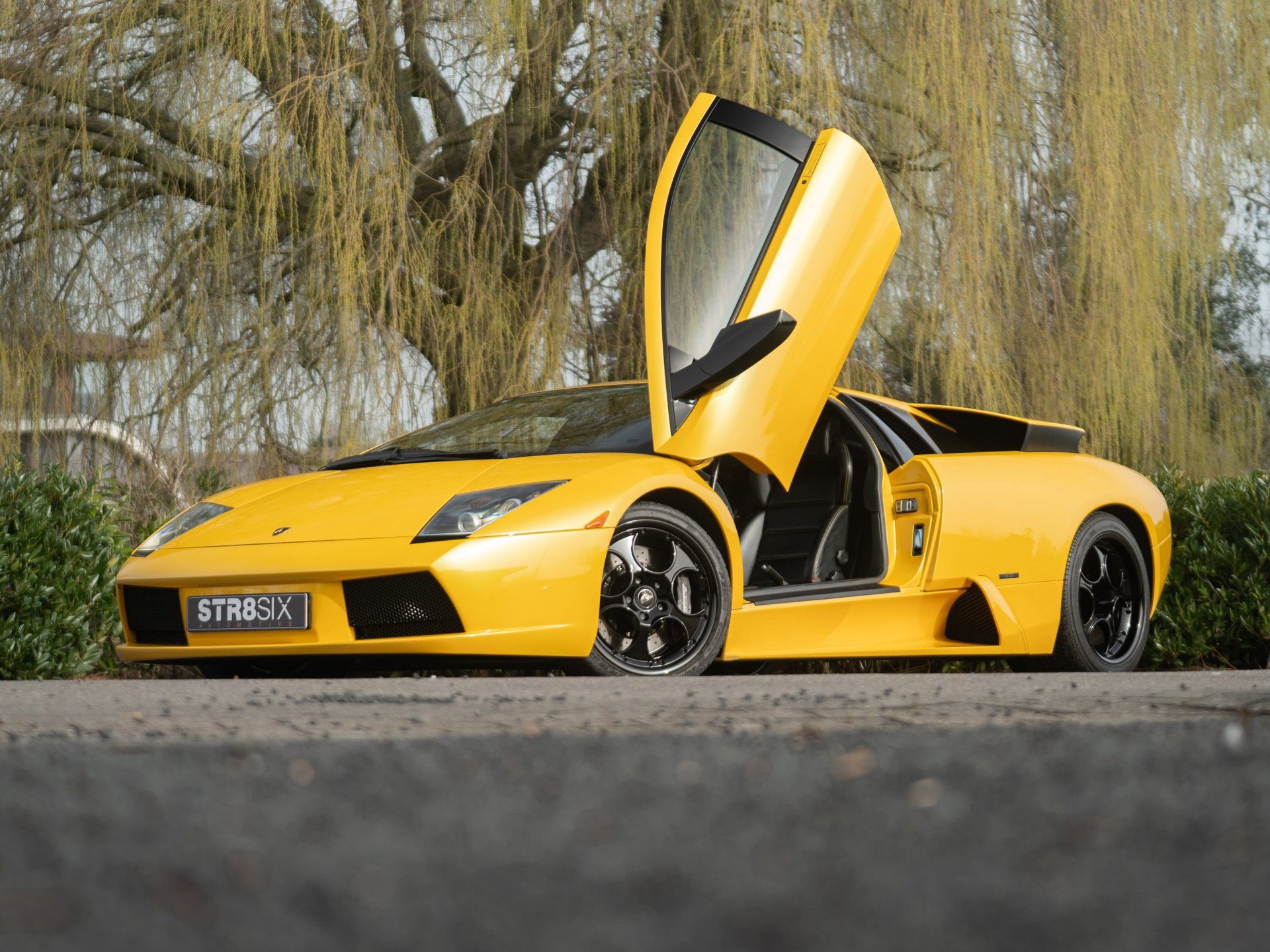 Foto van Lamborghini 147 Murcielago