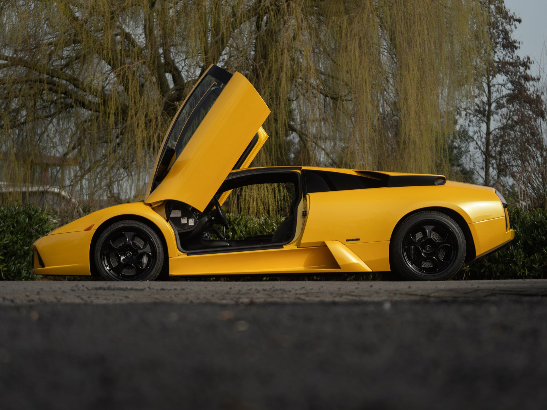 Foto van Lamborghini 147 Murcielago