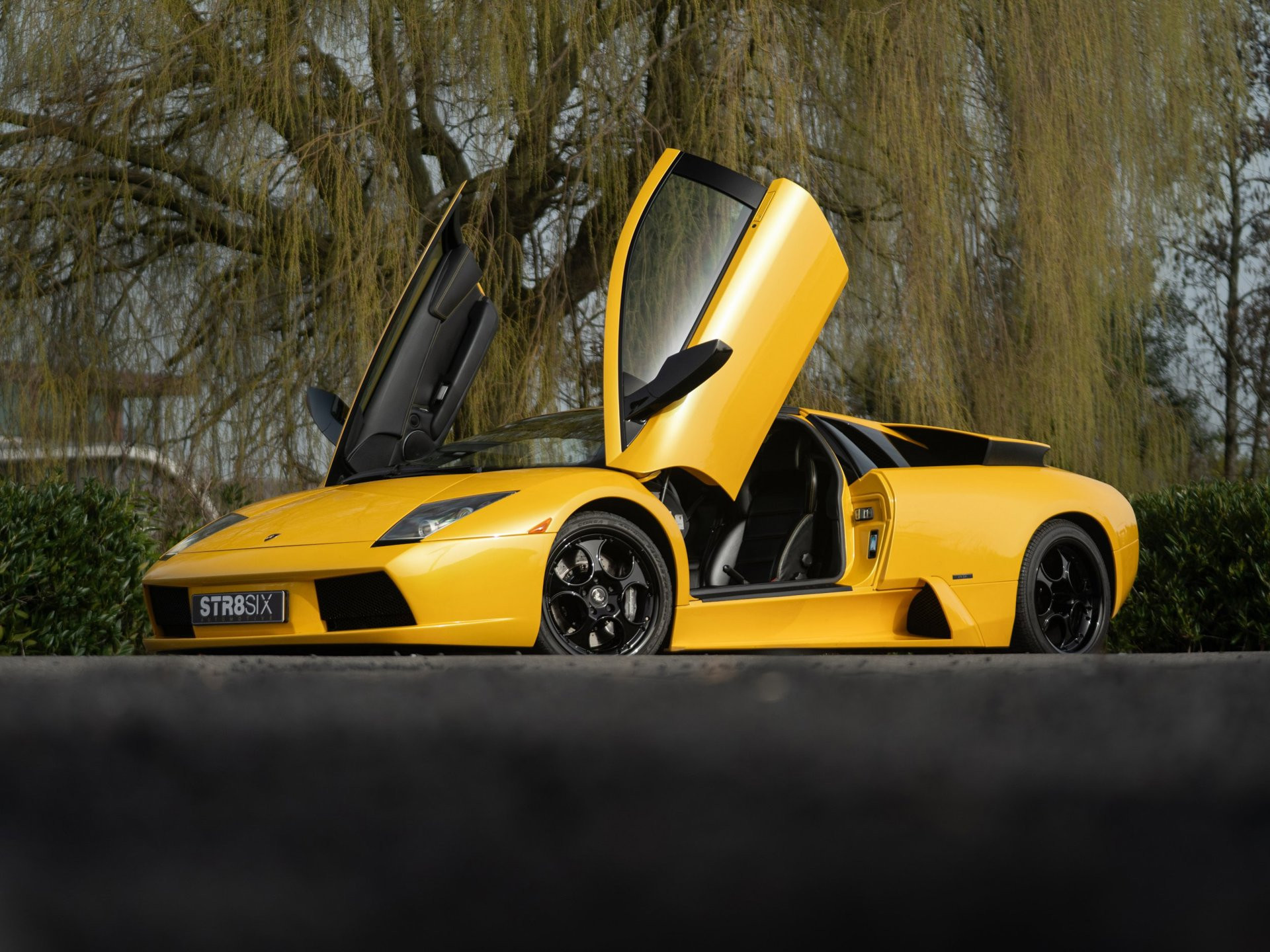 Foto van Lamborghini 147 Murcielago