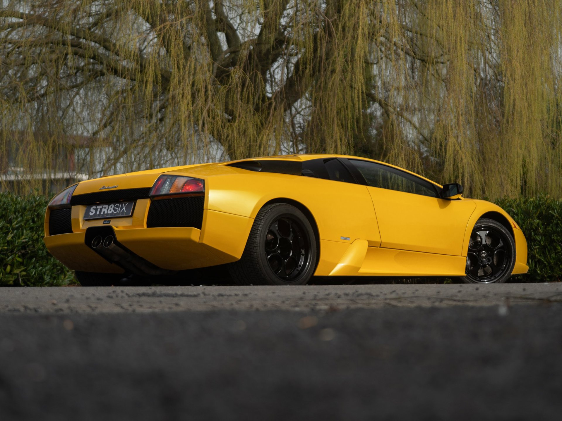 Foto van Lamborghini 147 Murcielago